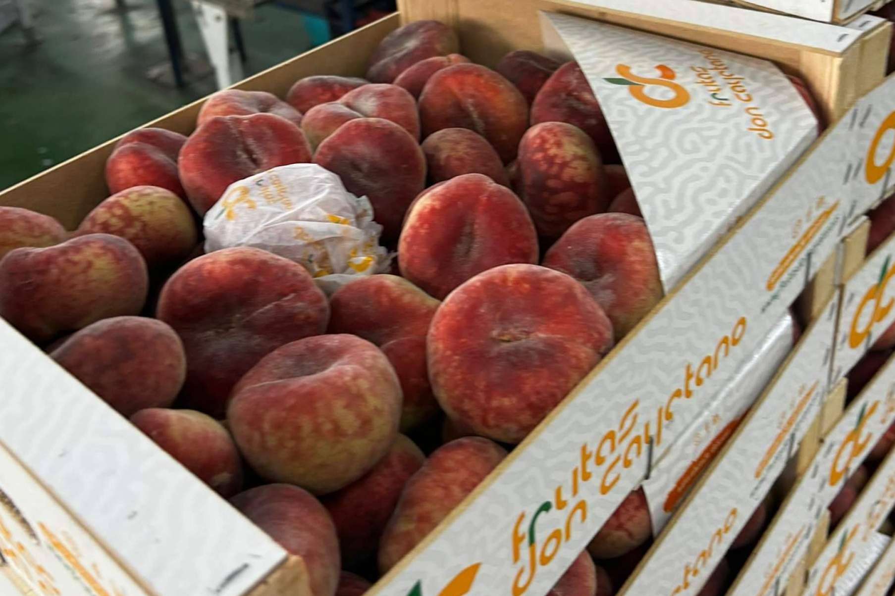 Don Cayetano, una empresa murciana experta en el manipulado y envasado de frutas