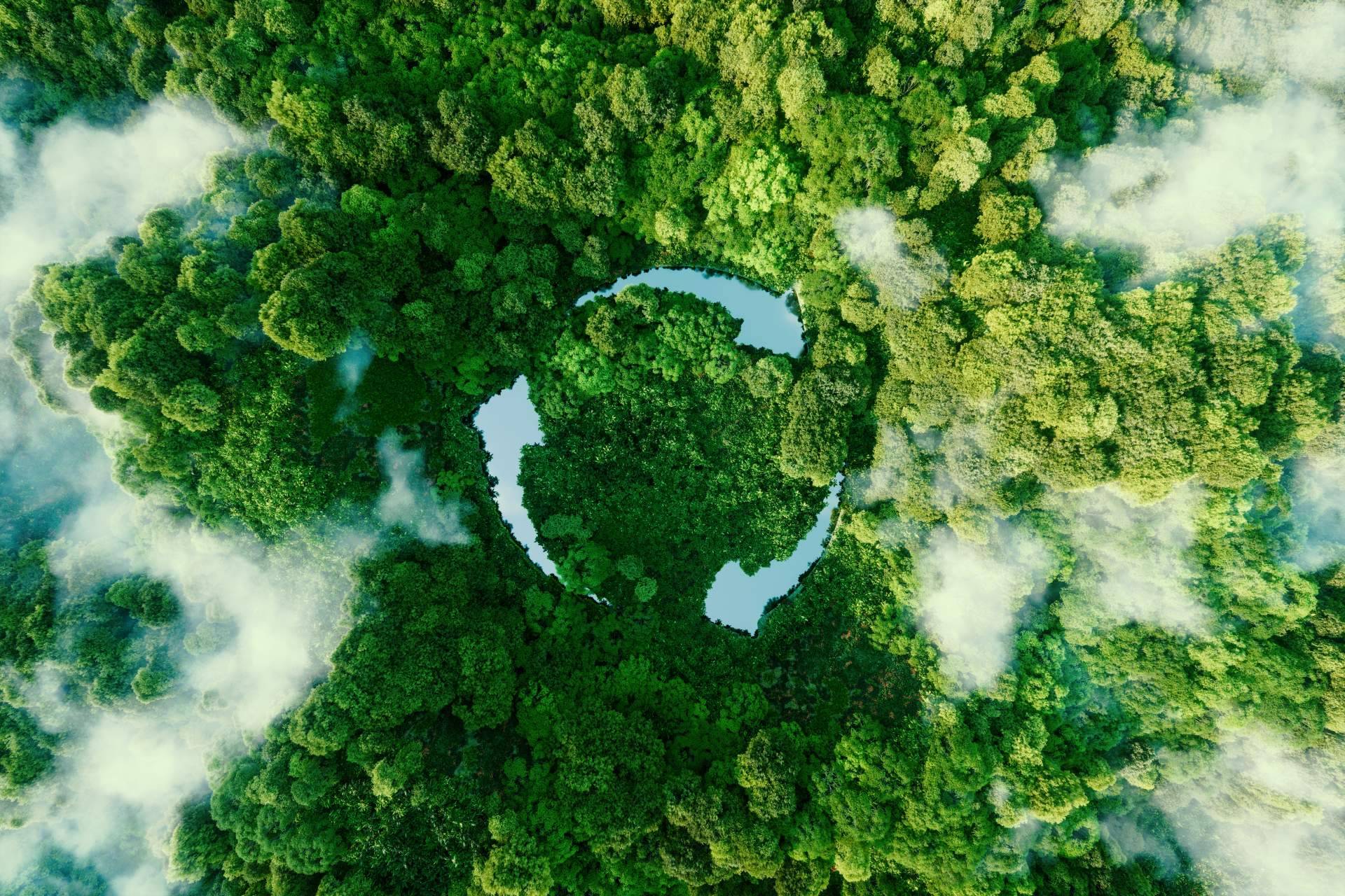 El pago por uso, una gran alternativa para reducir la contaminación medioambiental