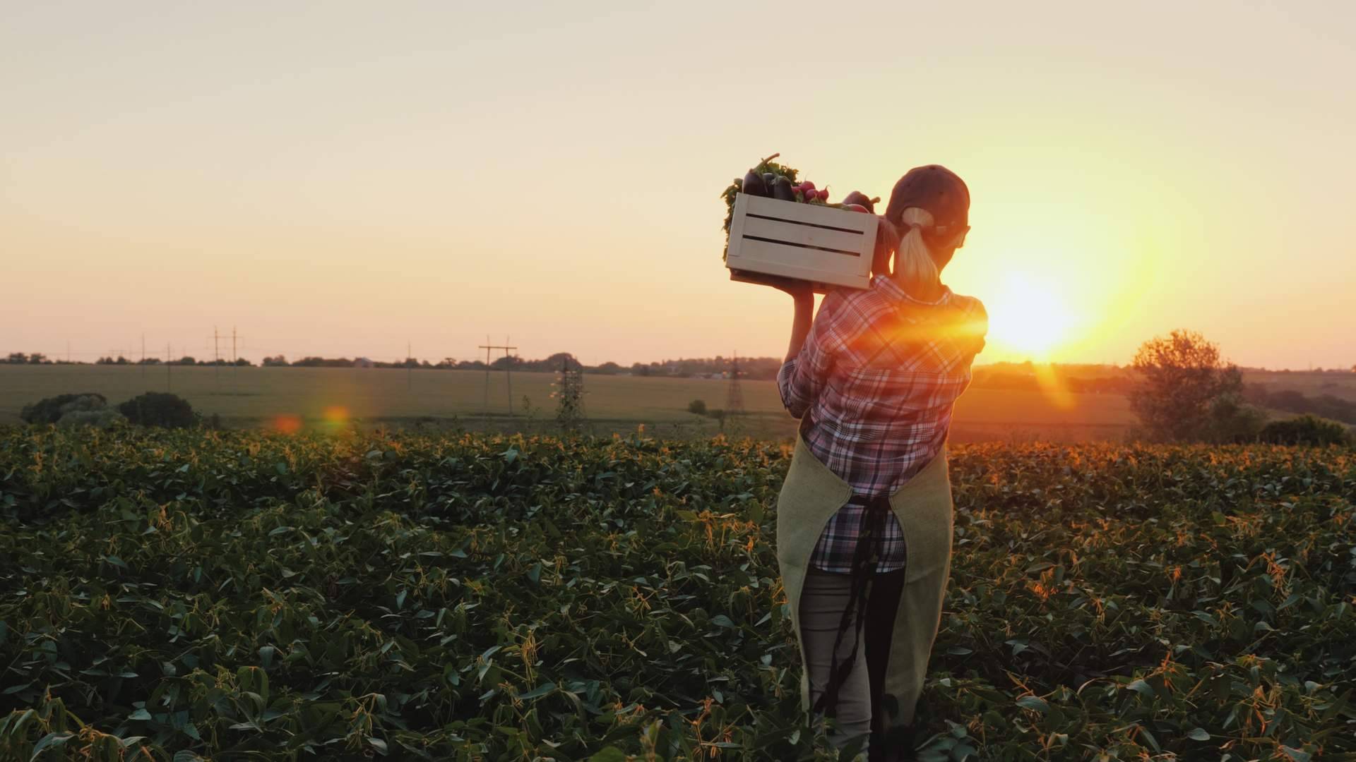 Las prácticas que lleva a cabo Serunion para fomentar la alimentación sostenible