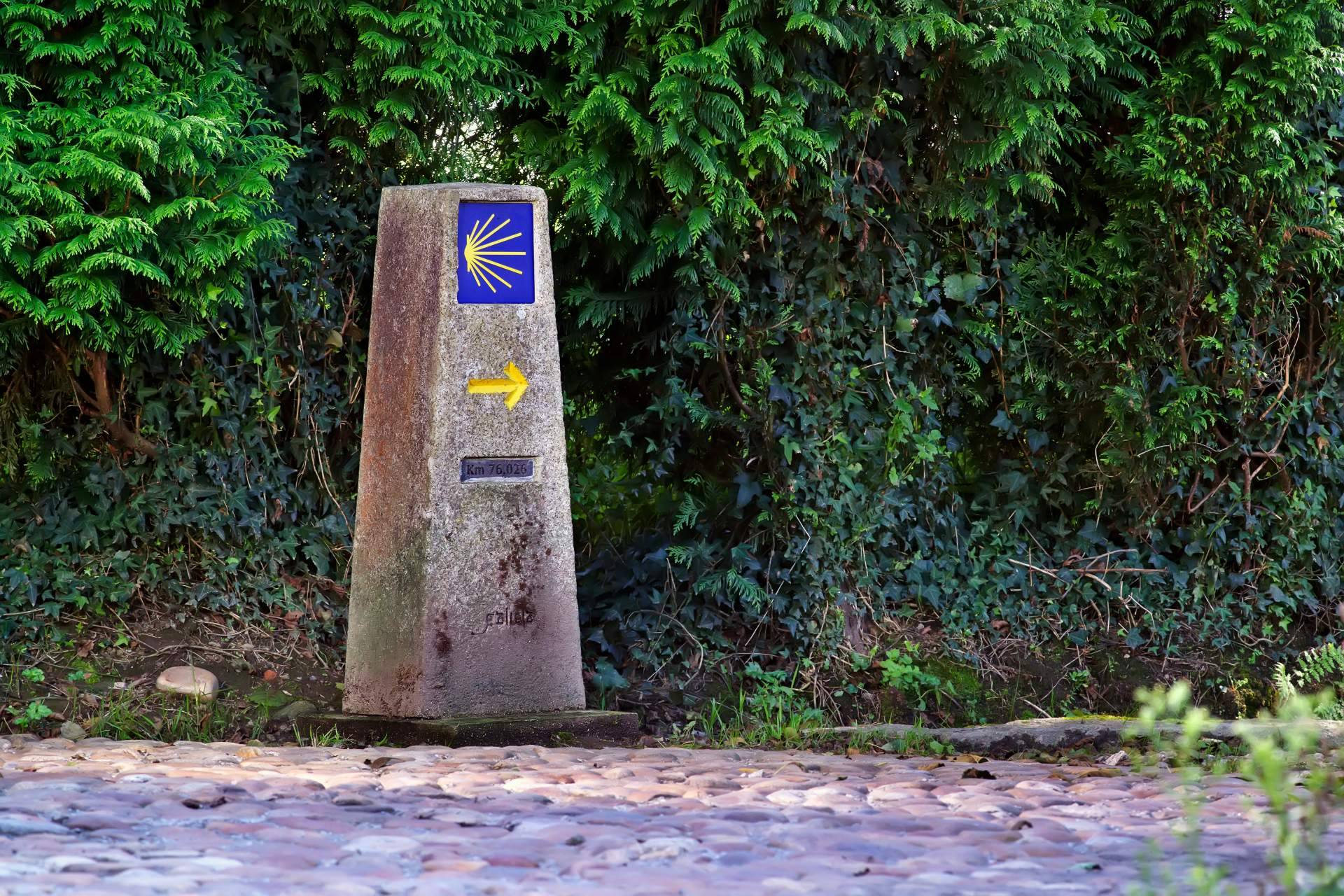El Camino de Santiago en silla de ruedas para reivindicar los derechos de las personas con discapacidad en España, con Fundación Disgrup