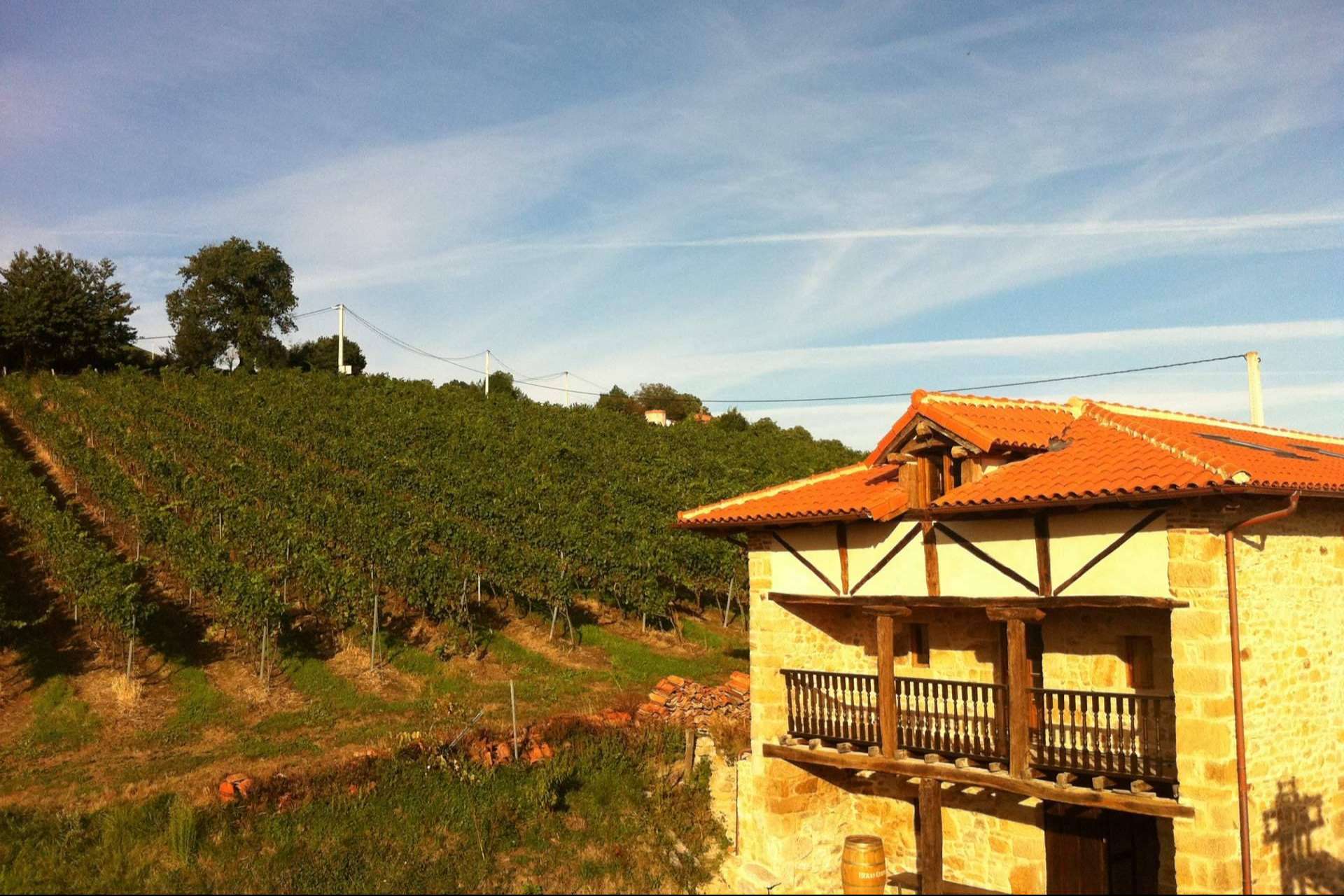 Bodegas Vidular, una historia de amor y respeto por el vino y la 'tierruca'