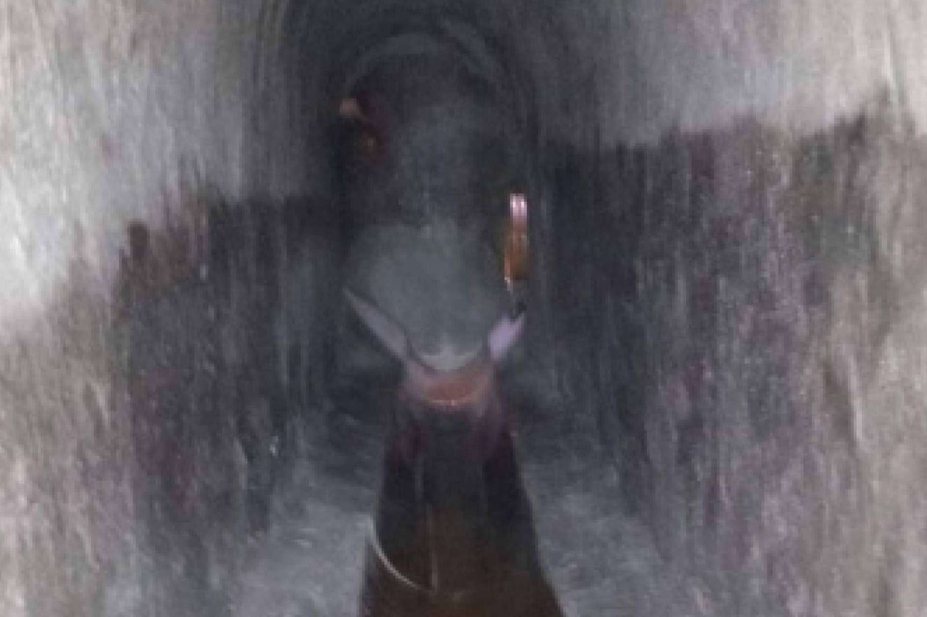 Tenofransa, profesionales en saneamiento y pocería en Madrid