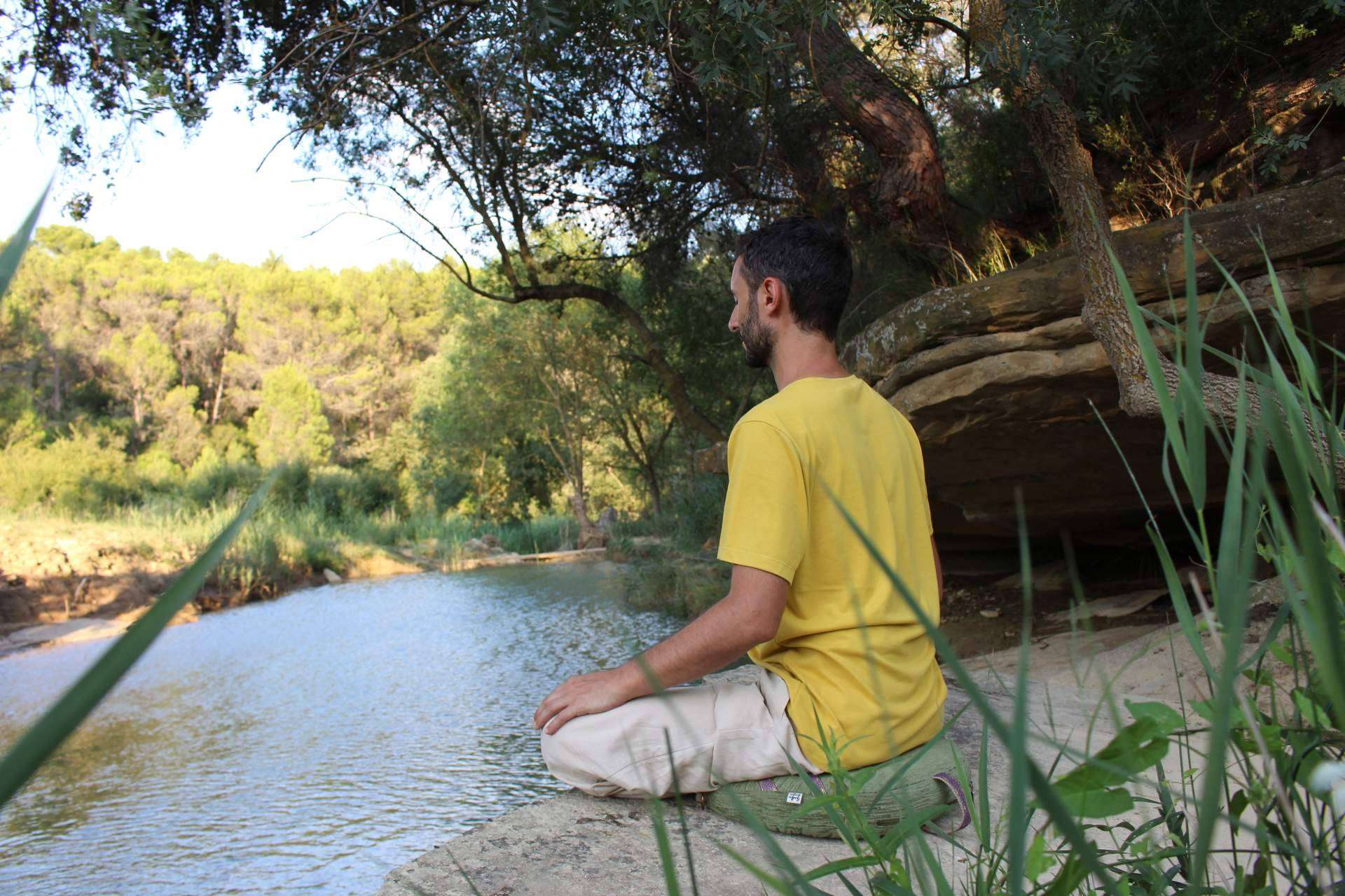 Con los cursos para profesores de la Escuela de Yoga Integral Mahashakti es posible conocer a fondo el yoga integral