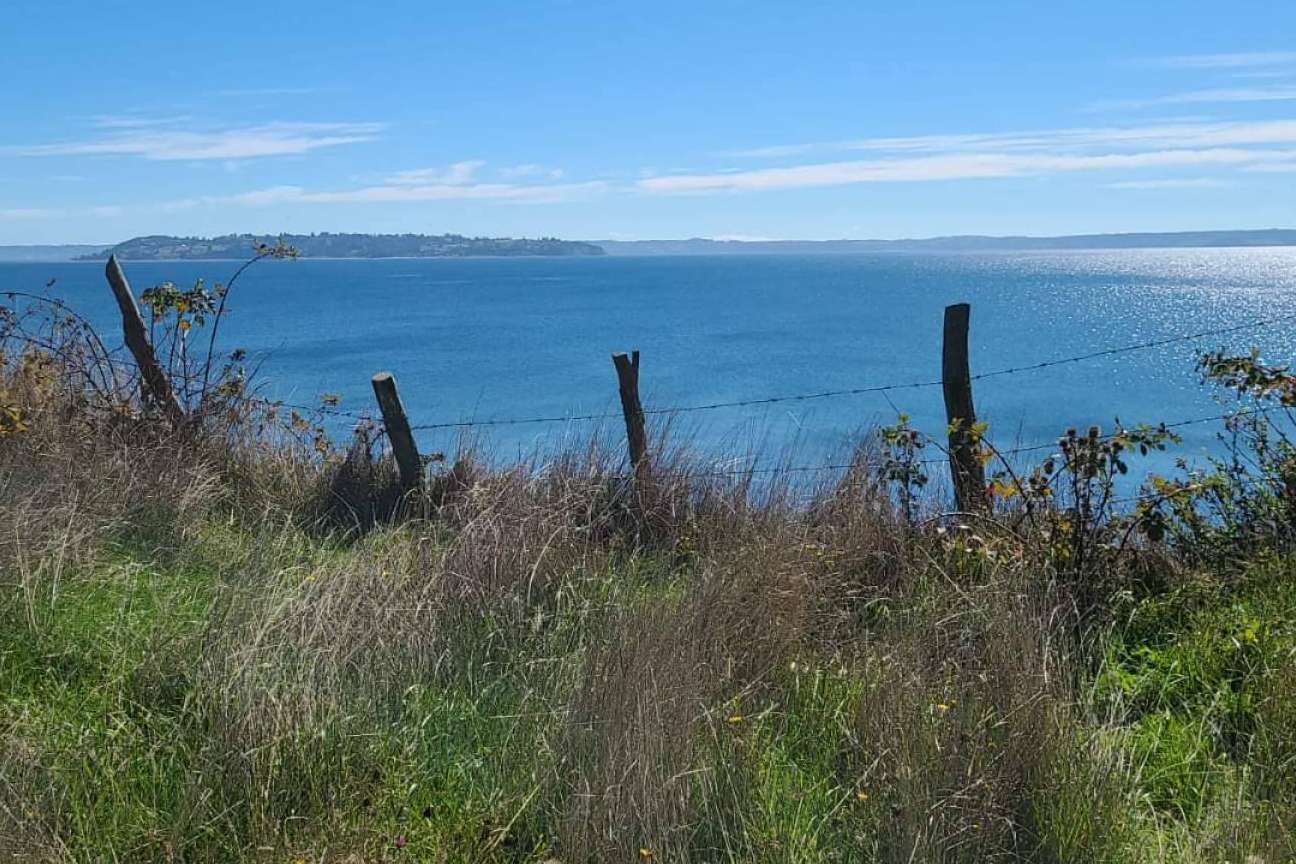 Teletrabajo en plena naturaleza; en Chiloé se puede vivir esta realidad