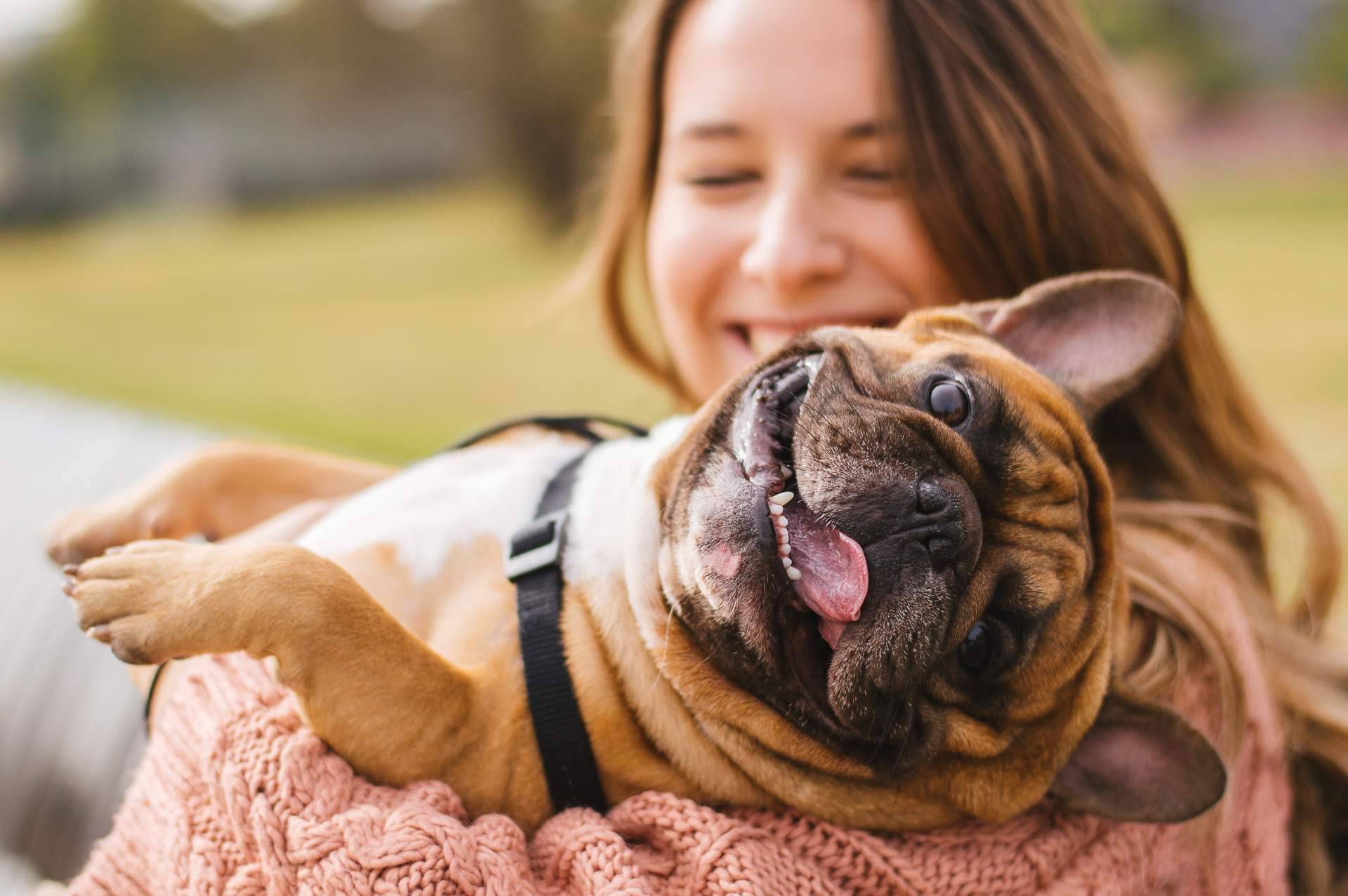 La nueva página web de Can Xana, la tienda de productos para mascotas
