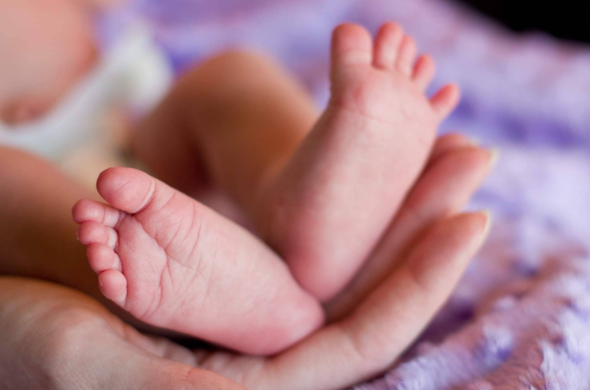 La importancia de los primeros 1000 días de vida, según el estudio de SESMI