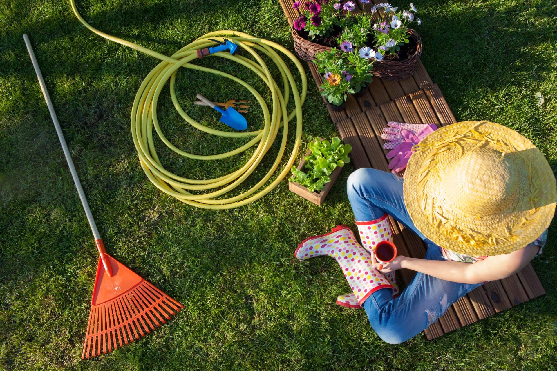 Amplia variedad de productos de jardinería en TiendaTu