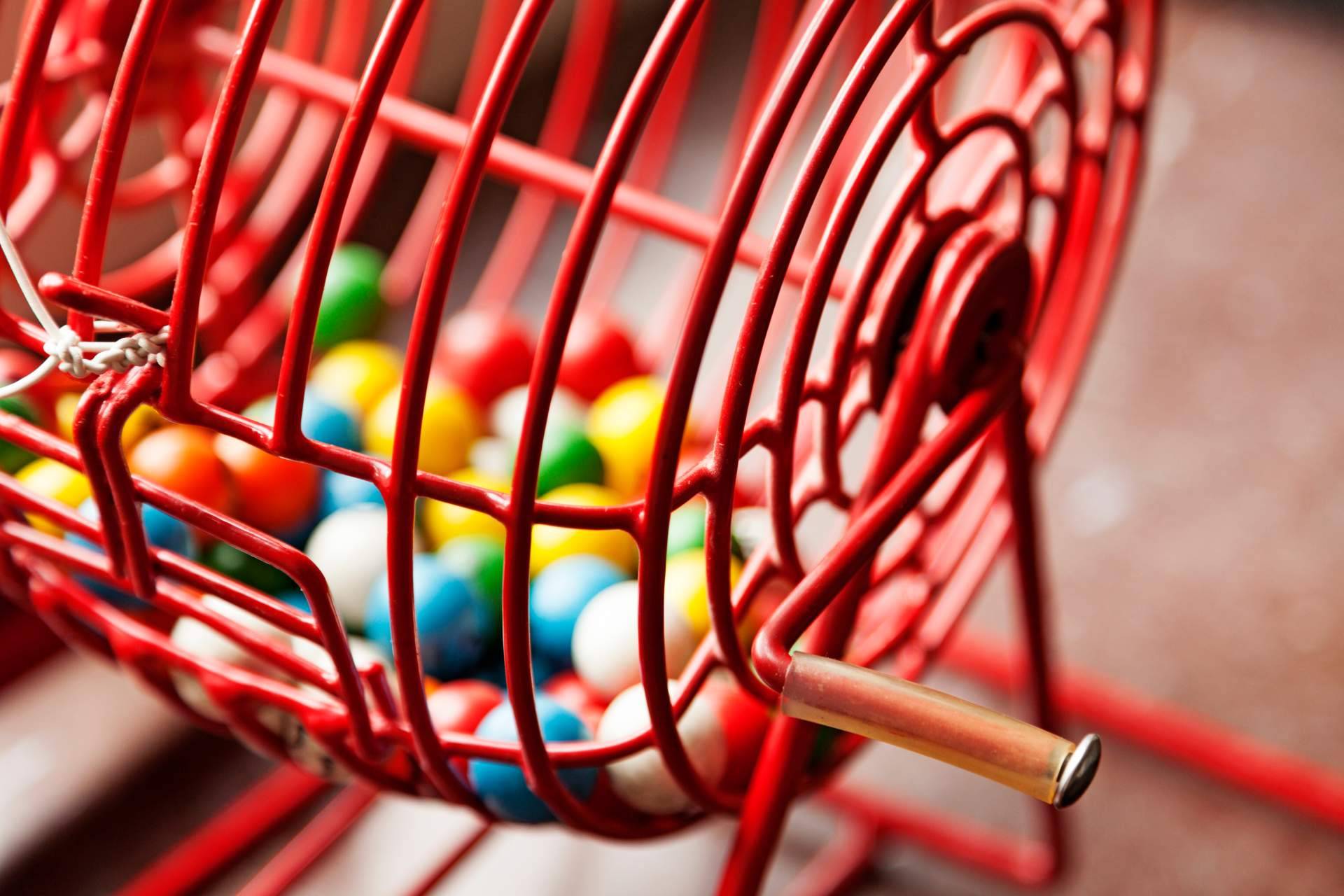 Bingo Experience, ocio y diversión a precio económico