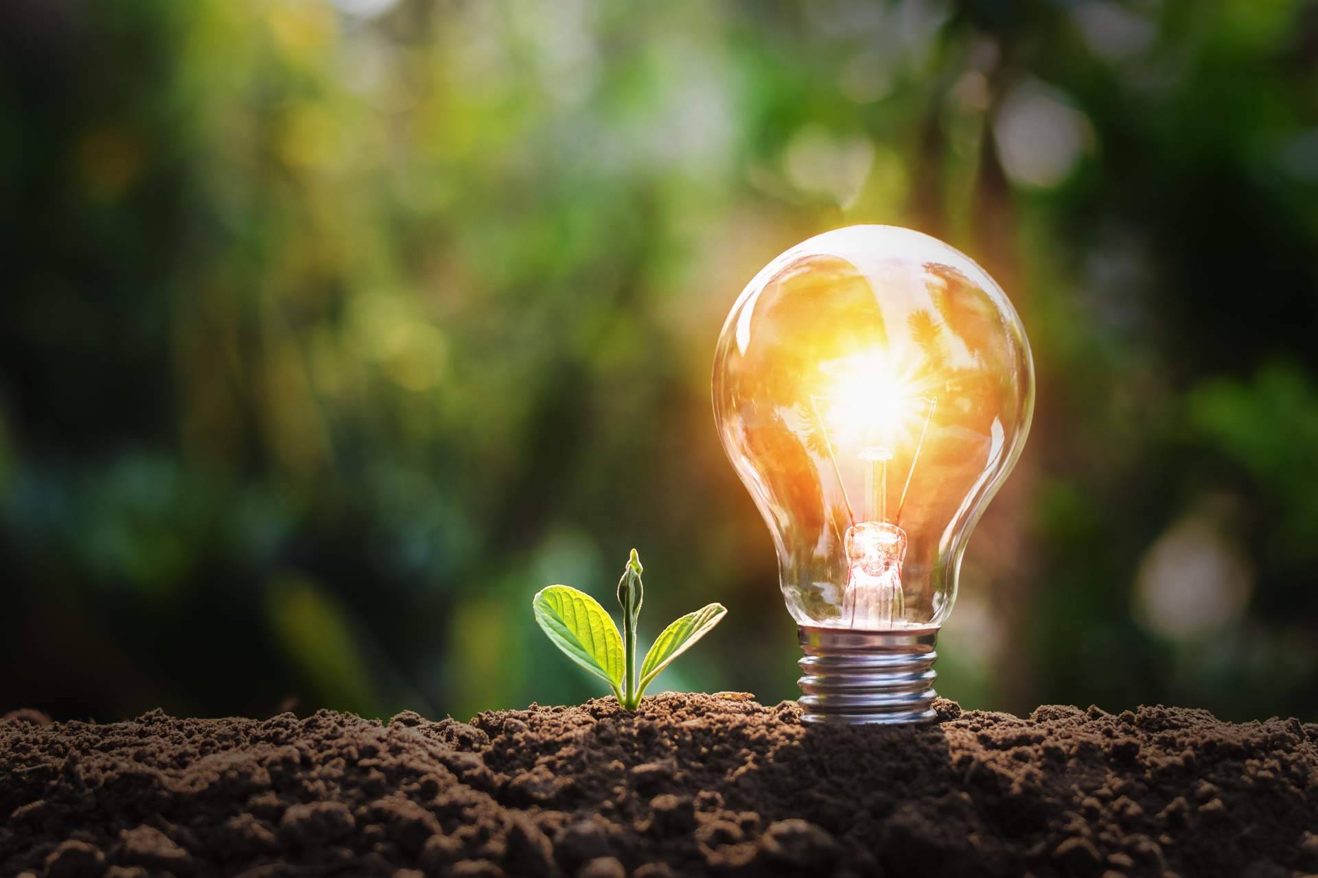 Estar al día sobre las últimas noticias de las energías renovables, de la mano de The Reason Behind