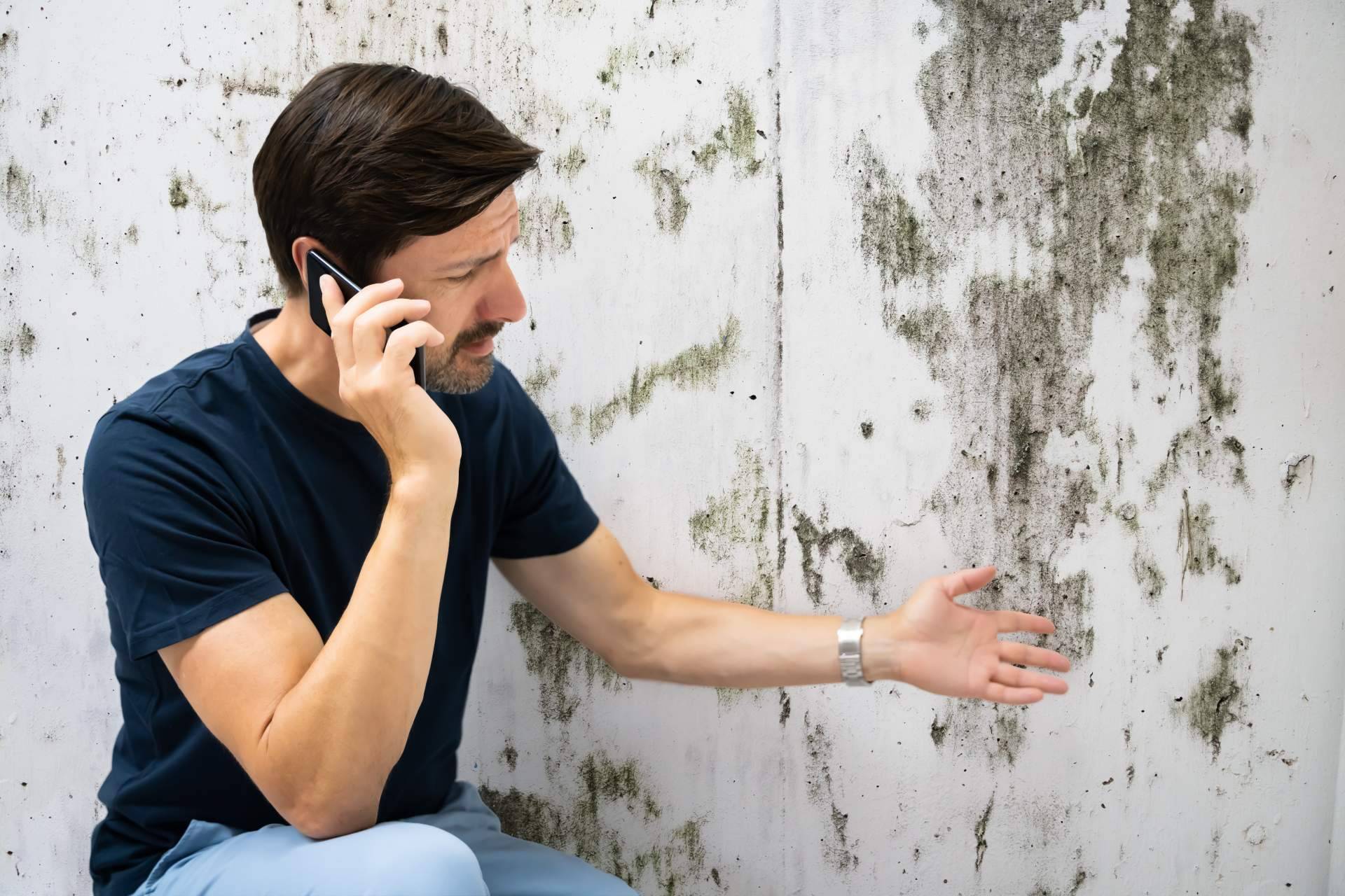 Una solución a las humedades por capilaridad con Preactiva