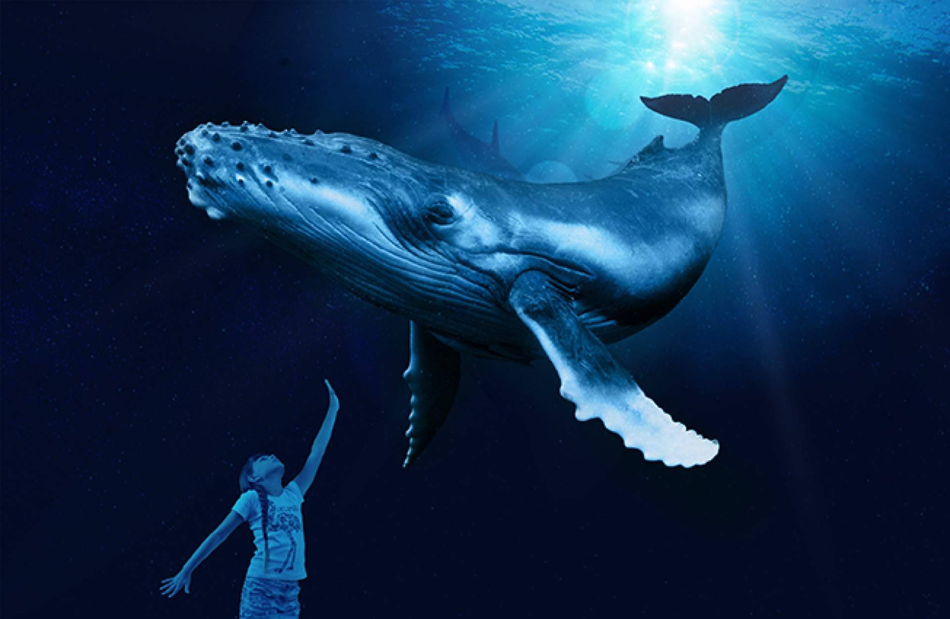 Un día diferente en Mallorca, vivir la experiencia Palma Aquarium