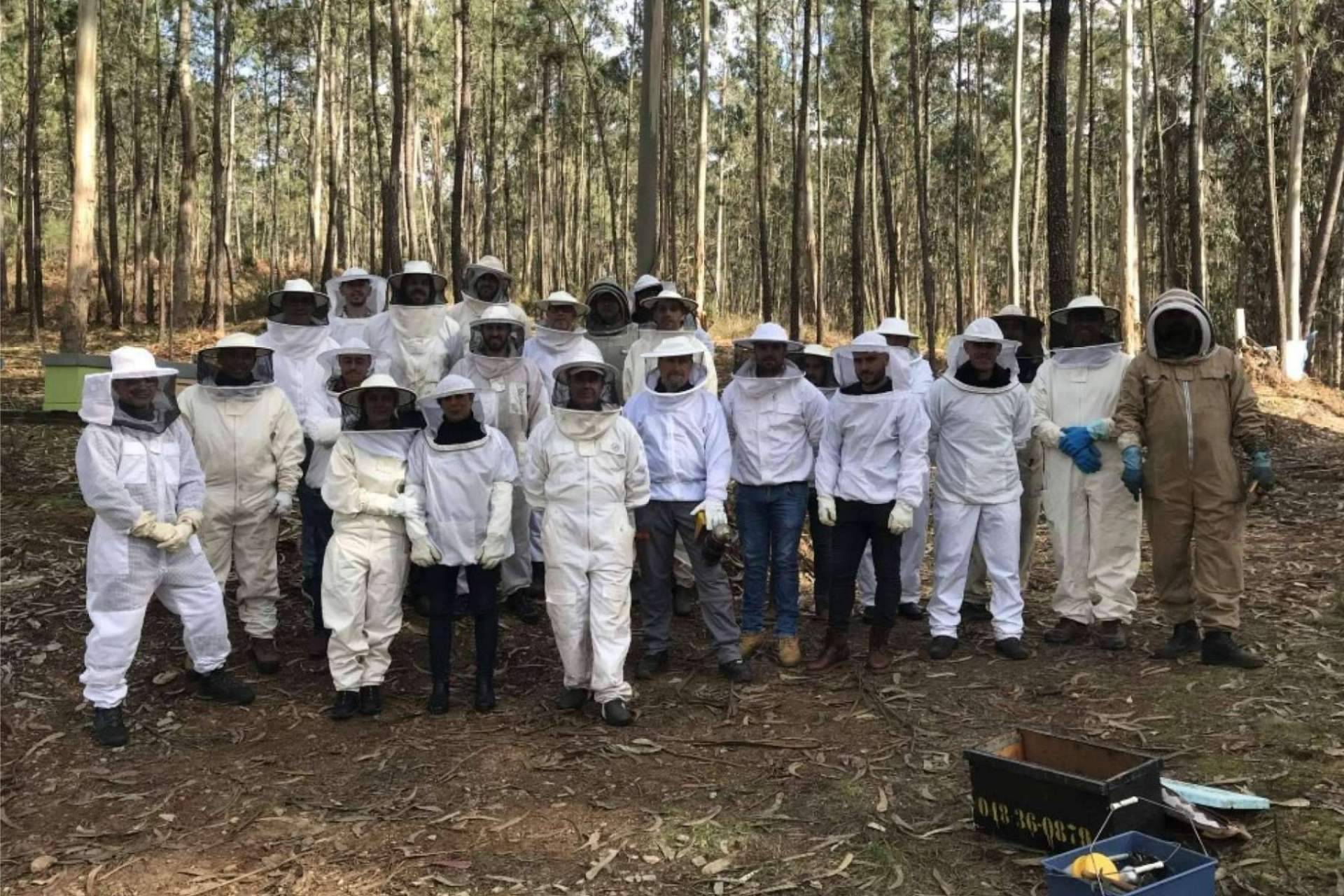Apiterapia con apitoxina, con Cursos Apicultura