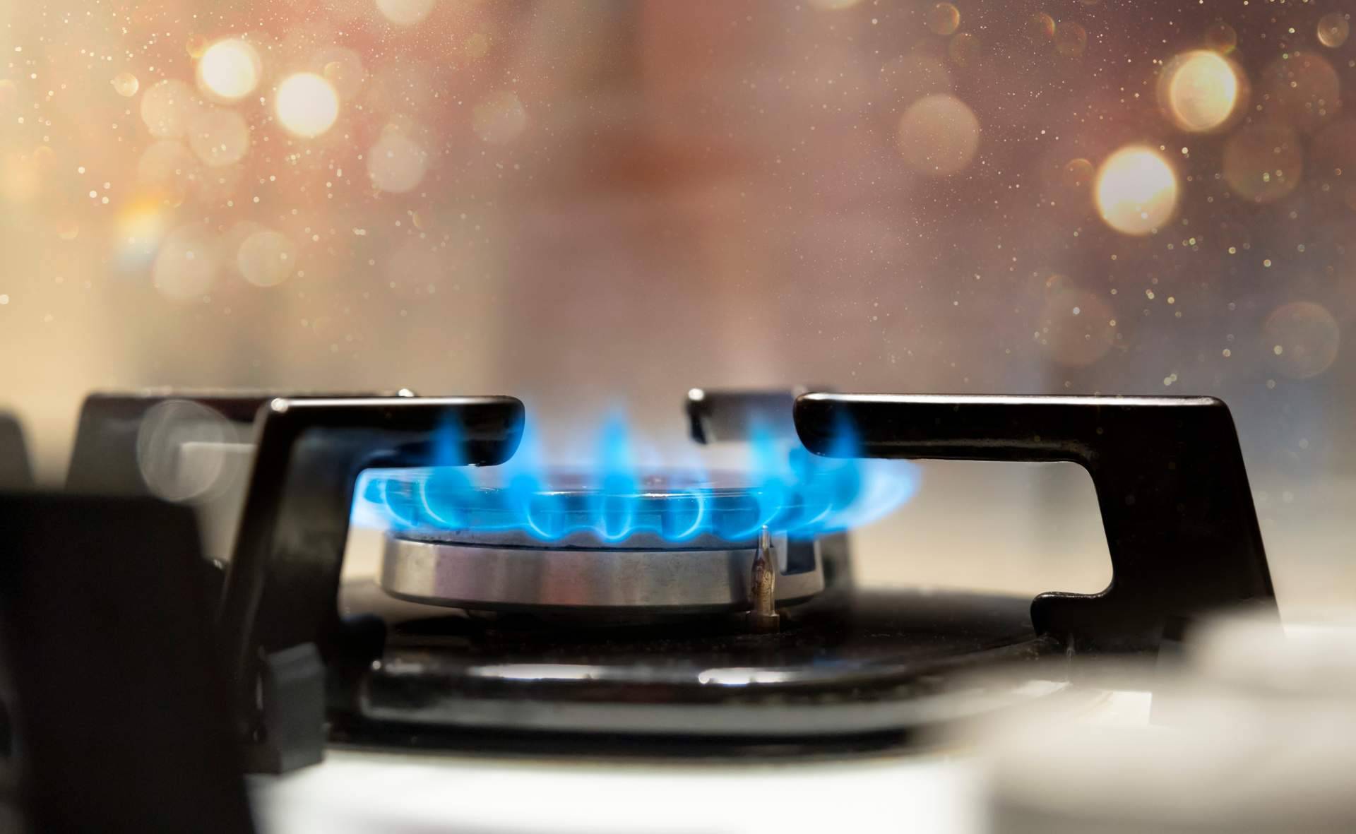 ¿Dónde encontrar servicios de suministro combustibles? Grupo Sholuciona