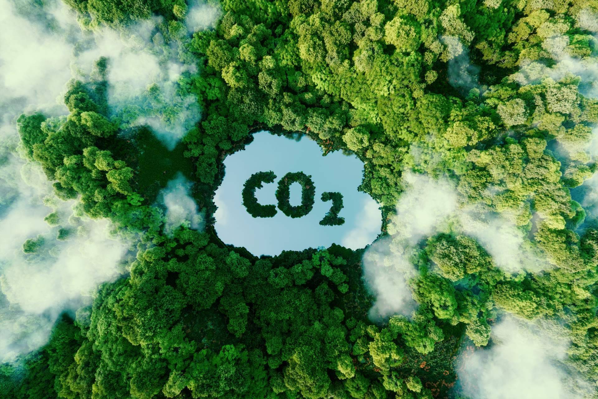 InPost se pasa a los envíos sin etiquetas para ahorrar papel y reducir las emisiones de CO2