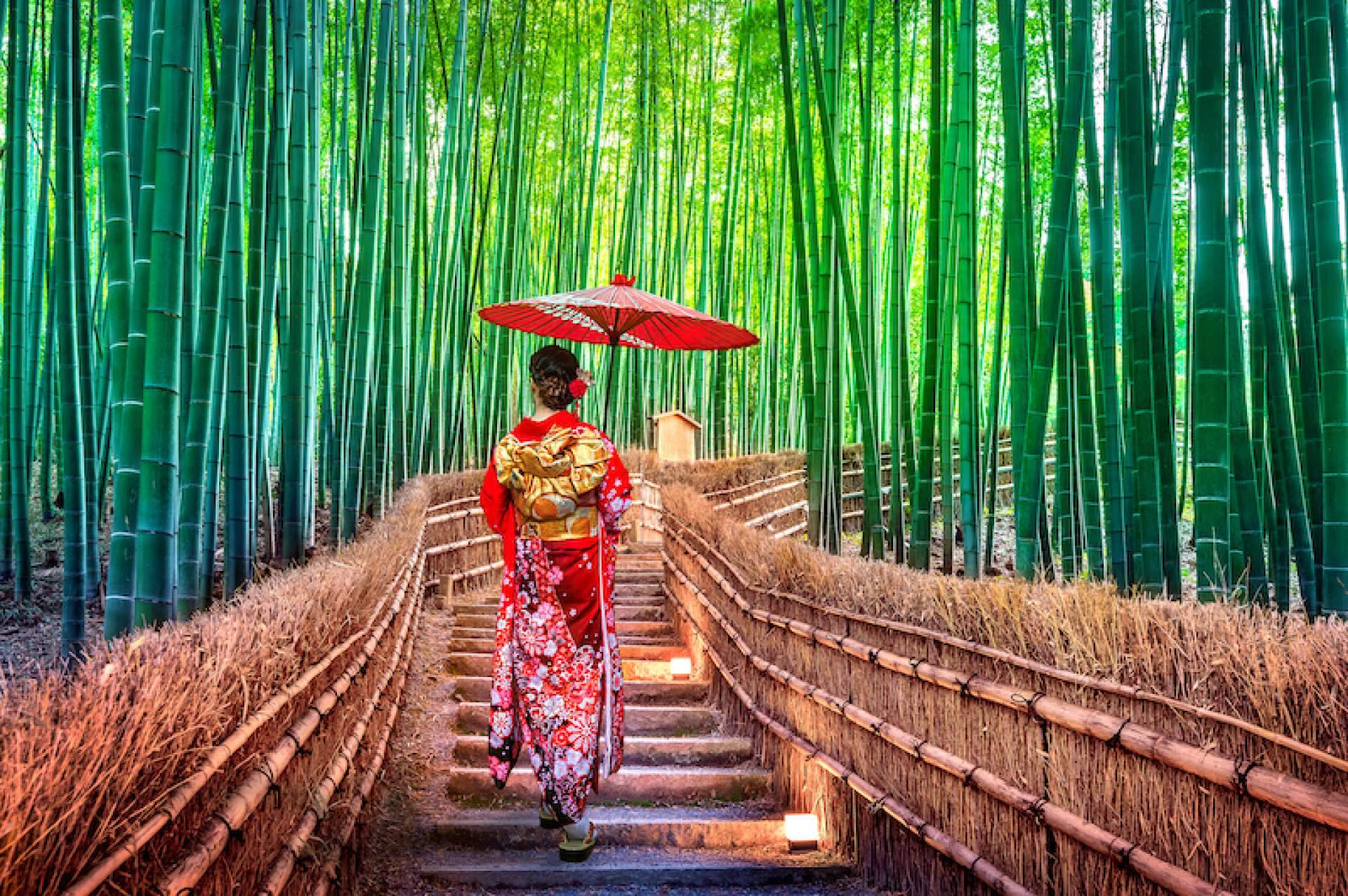 Viaxes Low Cost ofrece viajes a Japón a súper precios