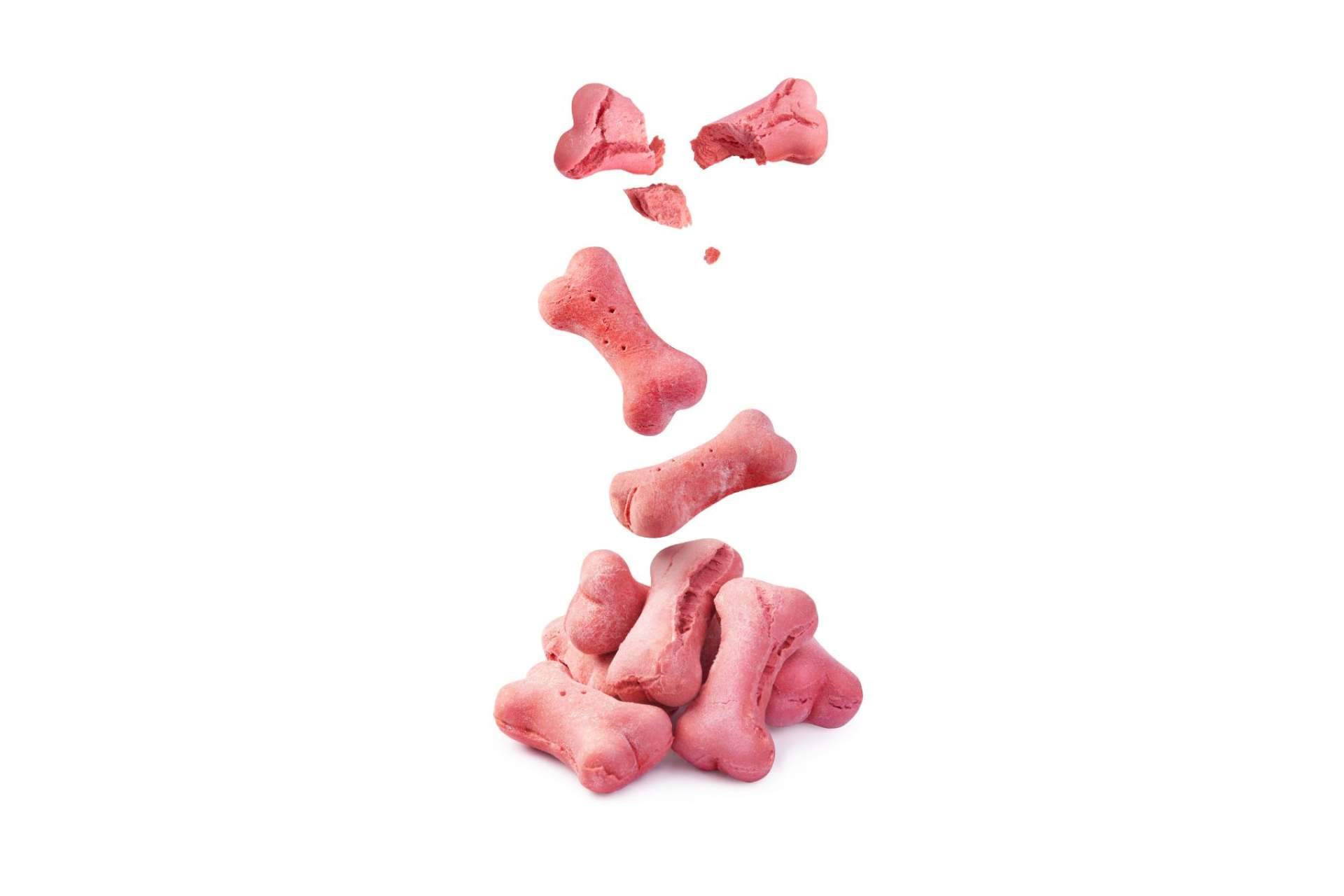 Can Xana dispone de un amplio catálogo de snacks para perros y gatos