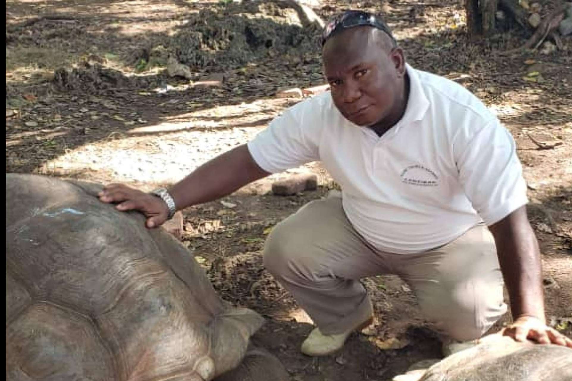 Explorar la naturaleza y cultura de Tanzania con los safaris de Kobe Tours y Safaris
