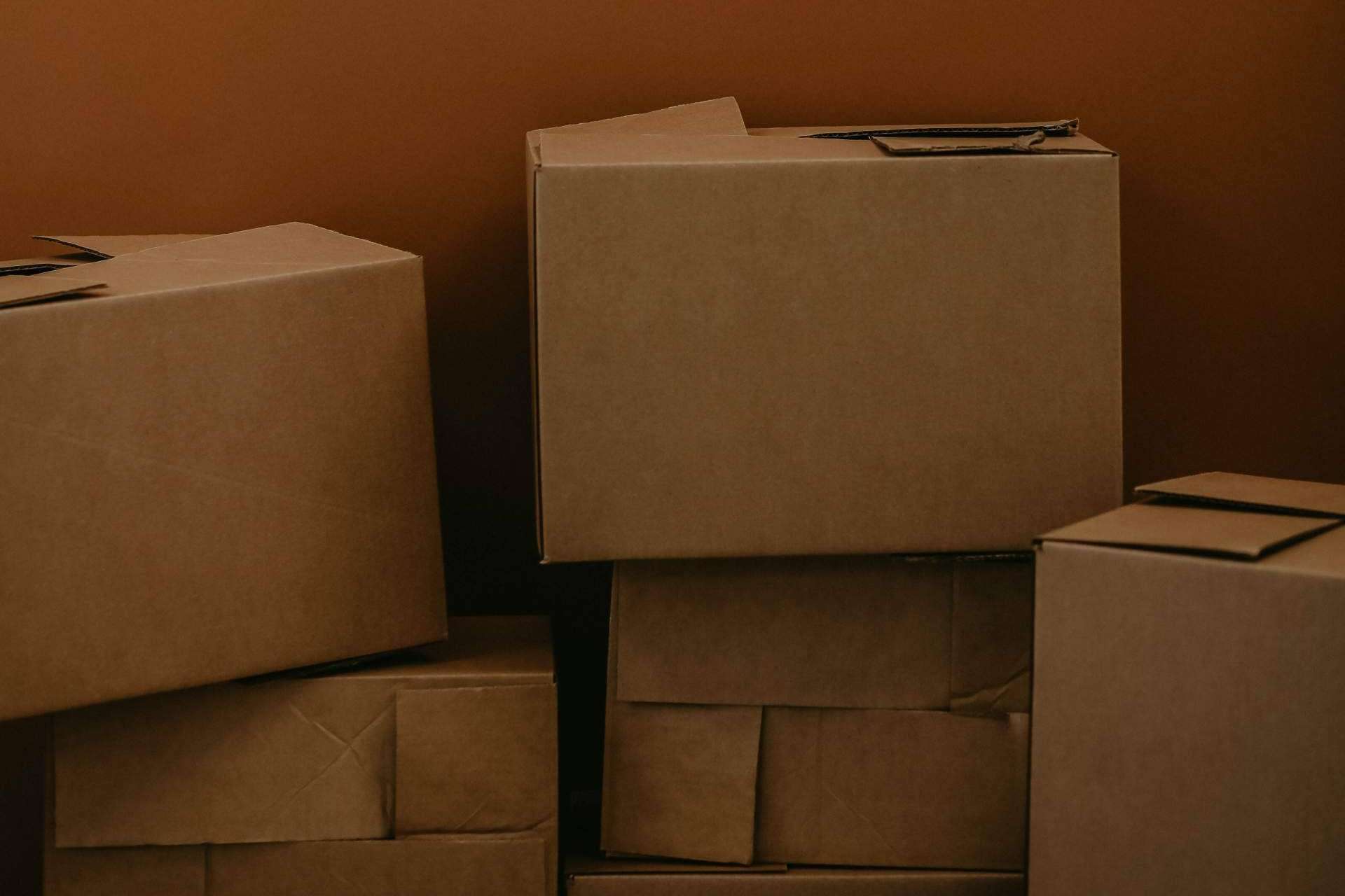 Embex pone a disposición soluciones de embalaje con cajas de cartón versátiles y resistentes
