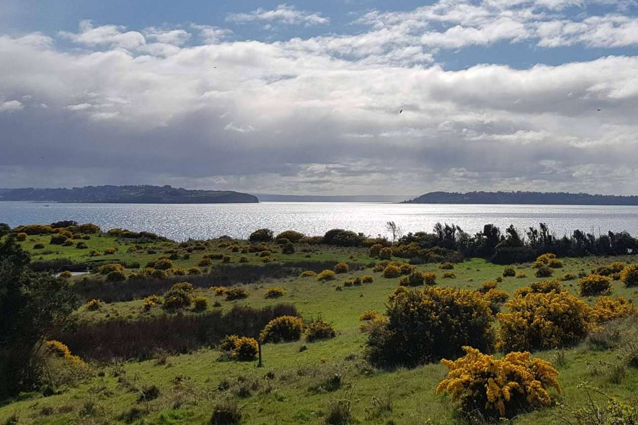 Latitudes Australes pone a disposición lugares perfectos en Chiloé para invertir en una parcela