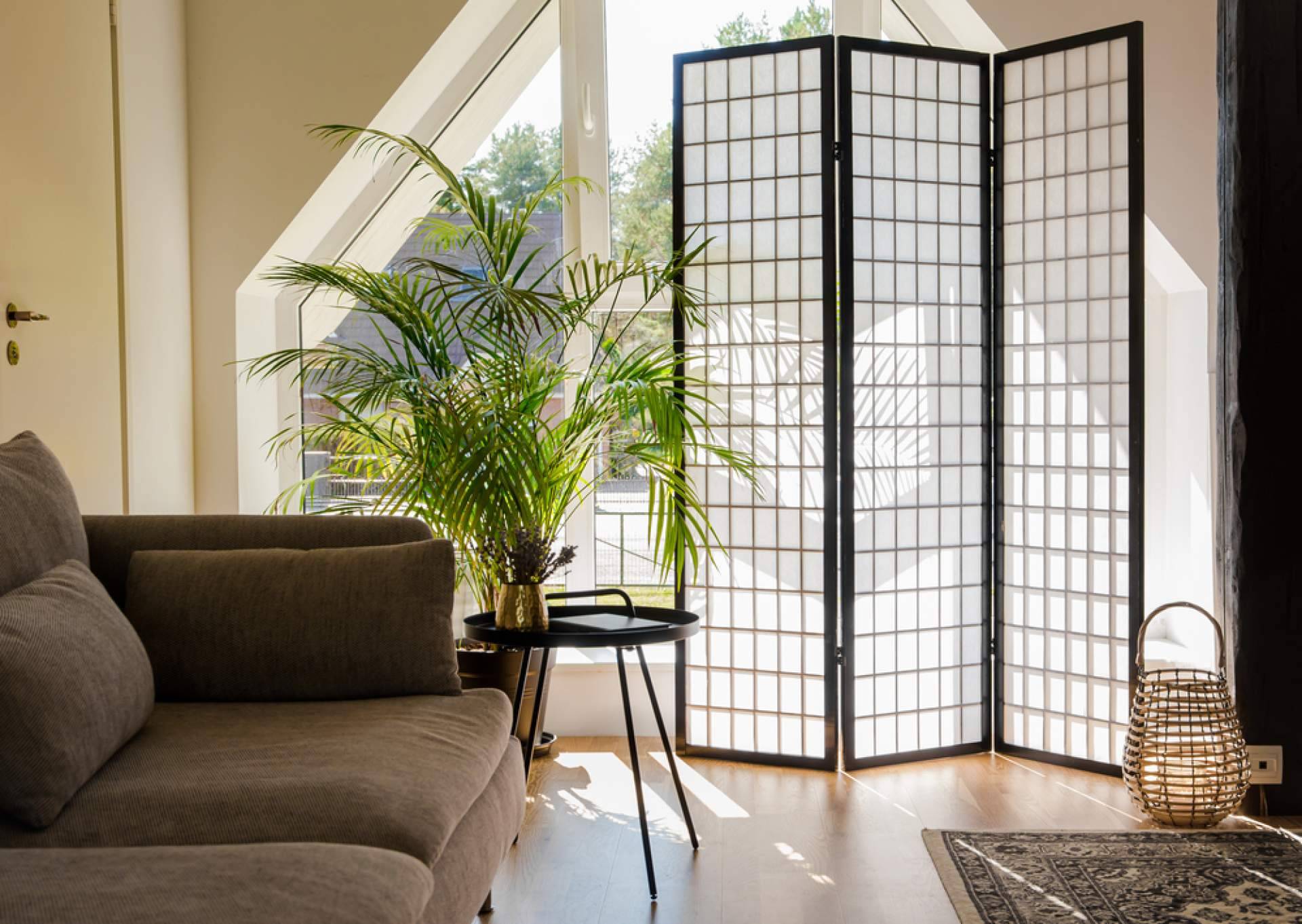 Hogar y Más presenta su biombo separador decorativo