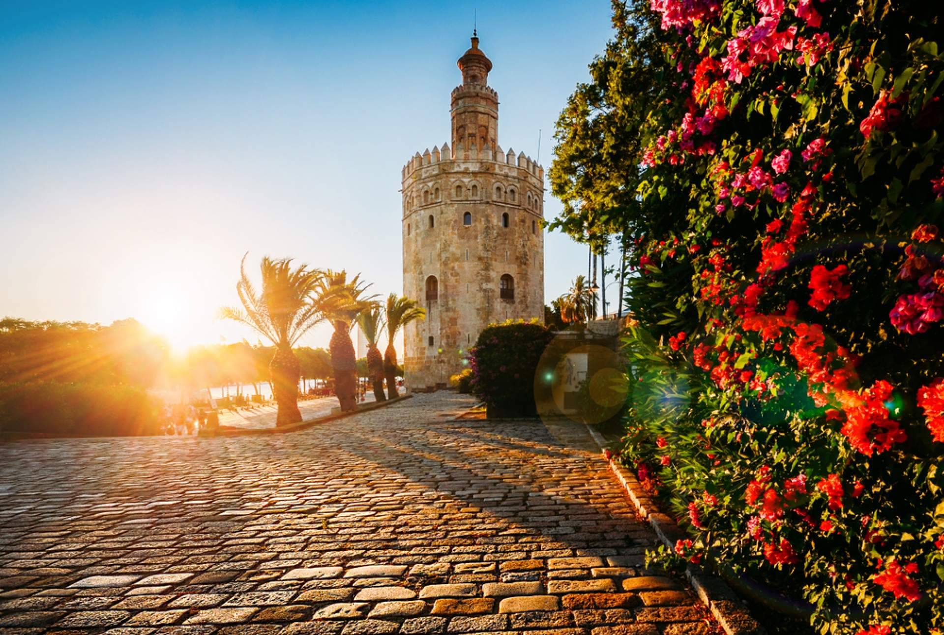 Los mejores free tours de Sevilla de la mano de Smart Local Tour