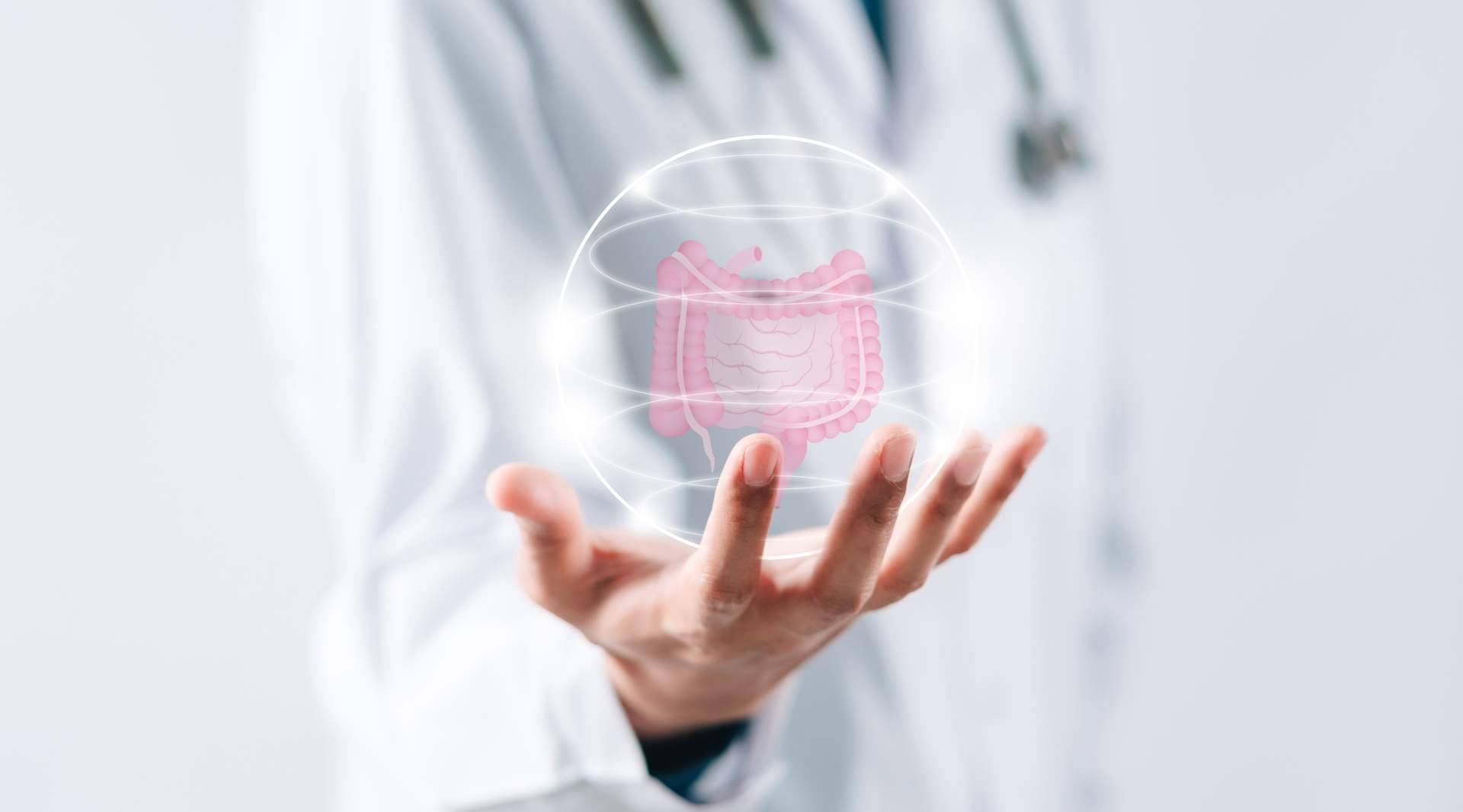 La relevancia de la permeabilidad intestinal, de la mano de Bibefy