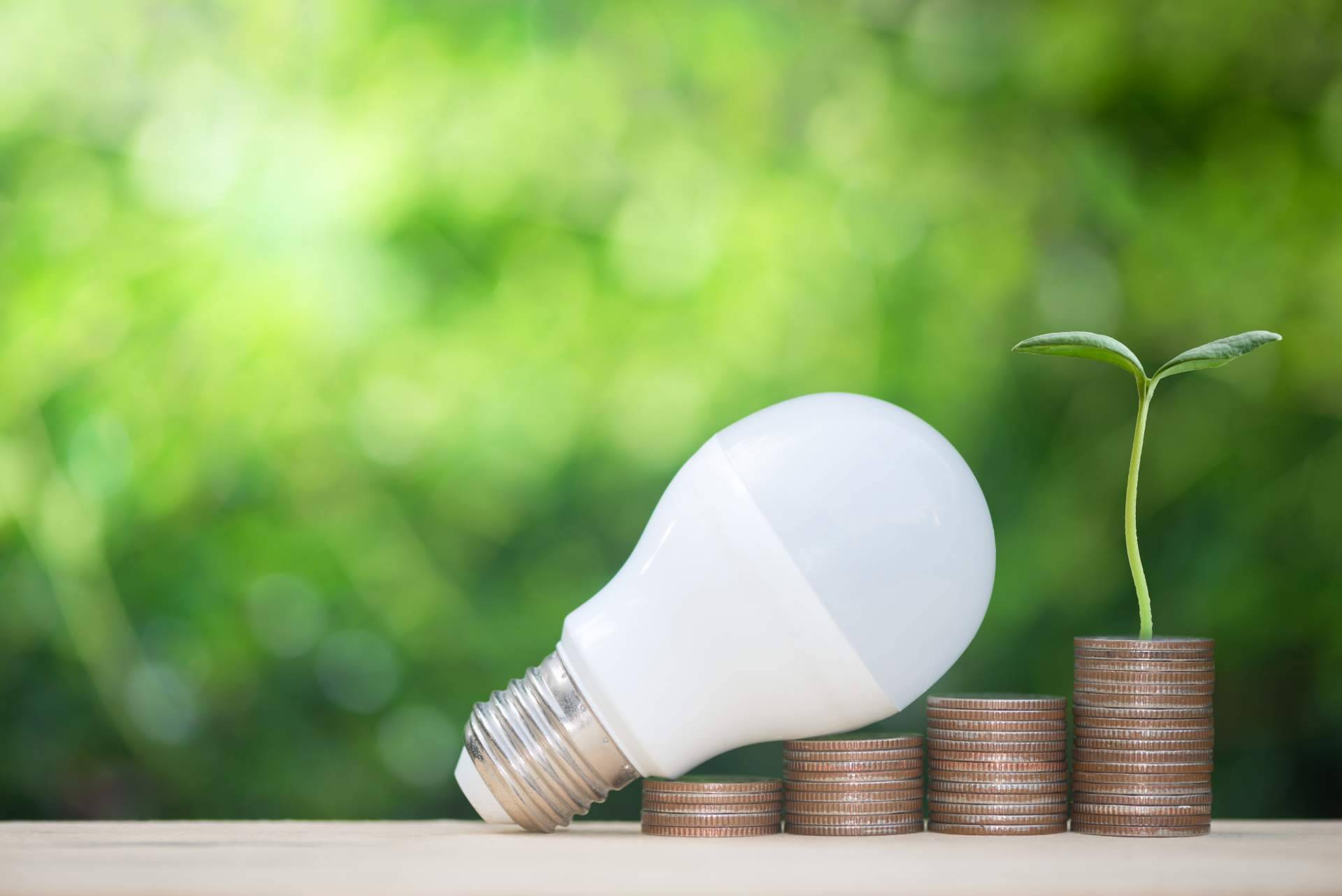 El Día Mundial del Ahorro de Energía y la importancia de las energías renovables
