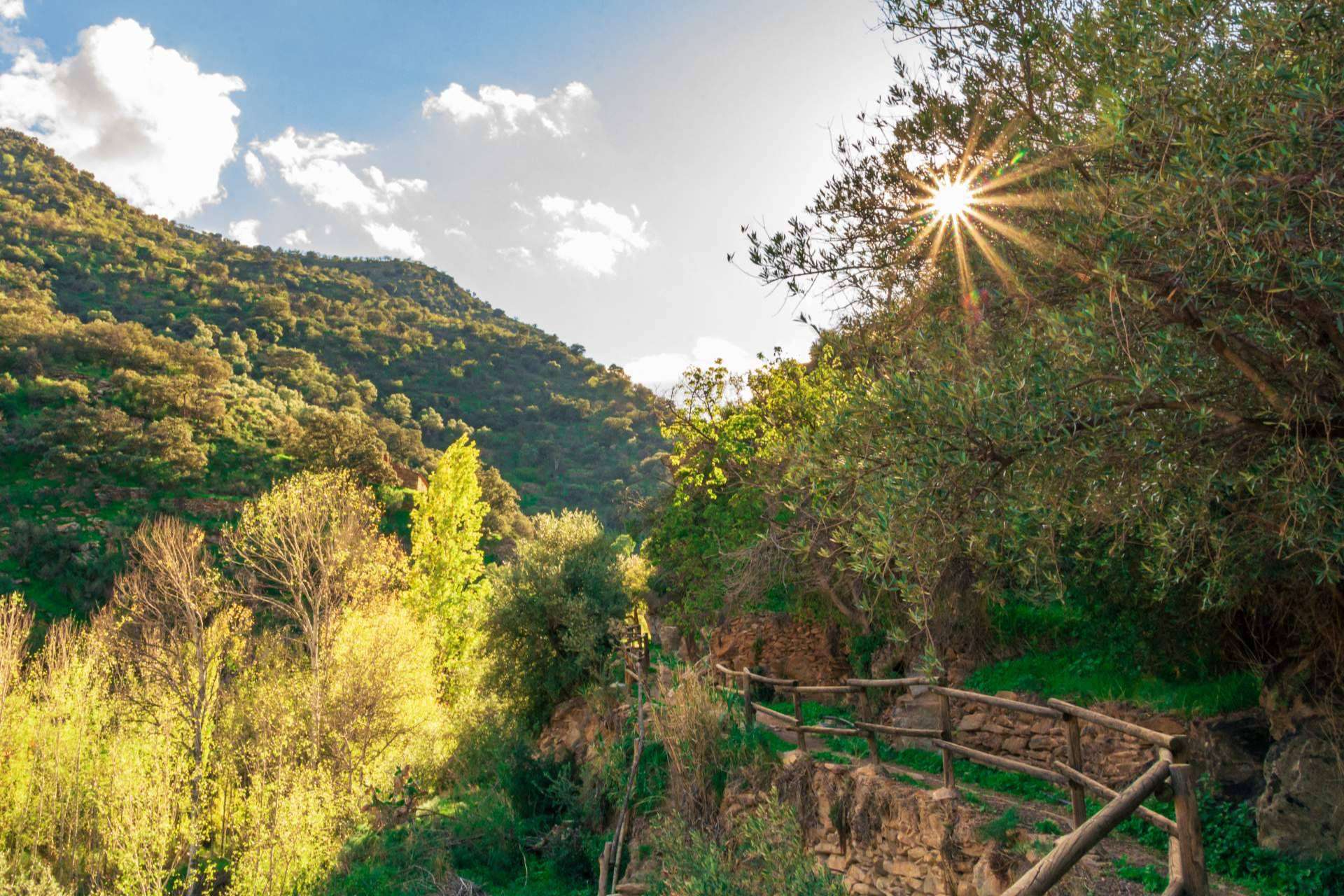 En el interior de Almería, el Valle del Almanzora es un tesoro