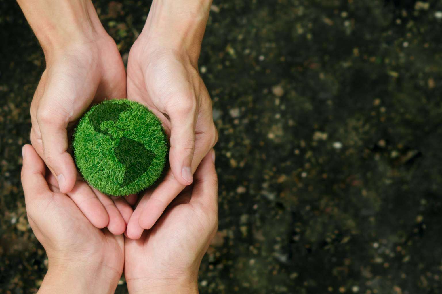 La página web de Verdú, certificada como web neutra en CO₂