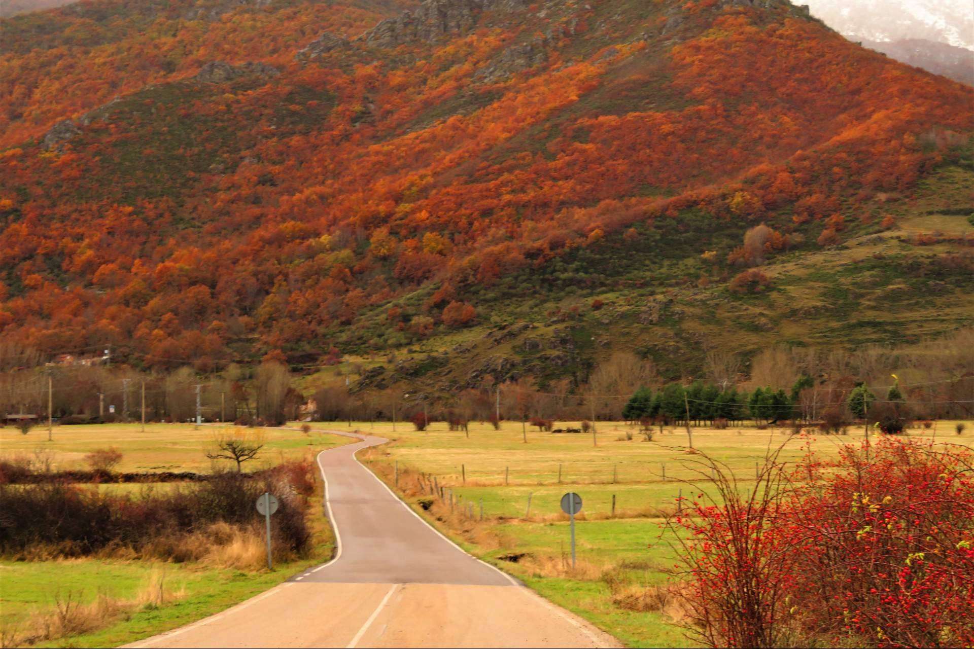 Rutasen.es; descubrir España a través de rutas creadas por expertos locales