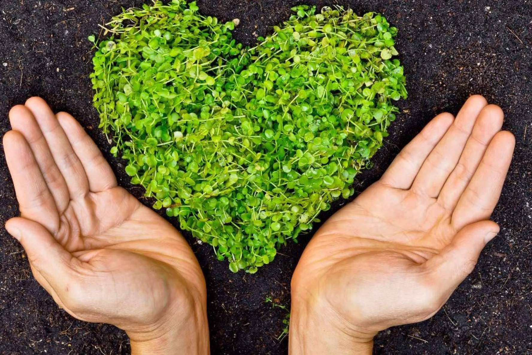 Naturtierra, una de las marcas más valoradas de complementos alimenticios en gran consumo