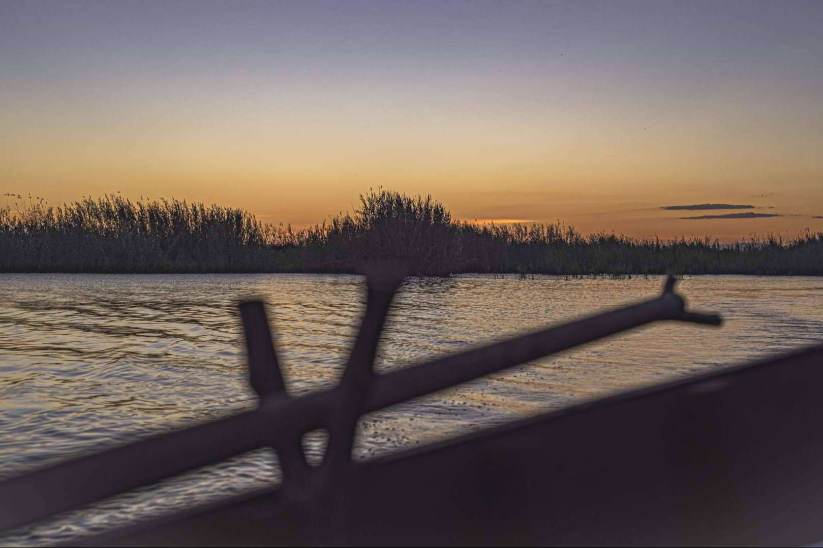 Paseos en barca por la Albufera desde El Palmar con Albumar
