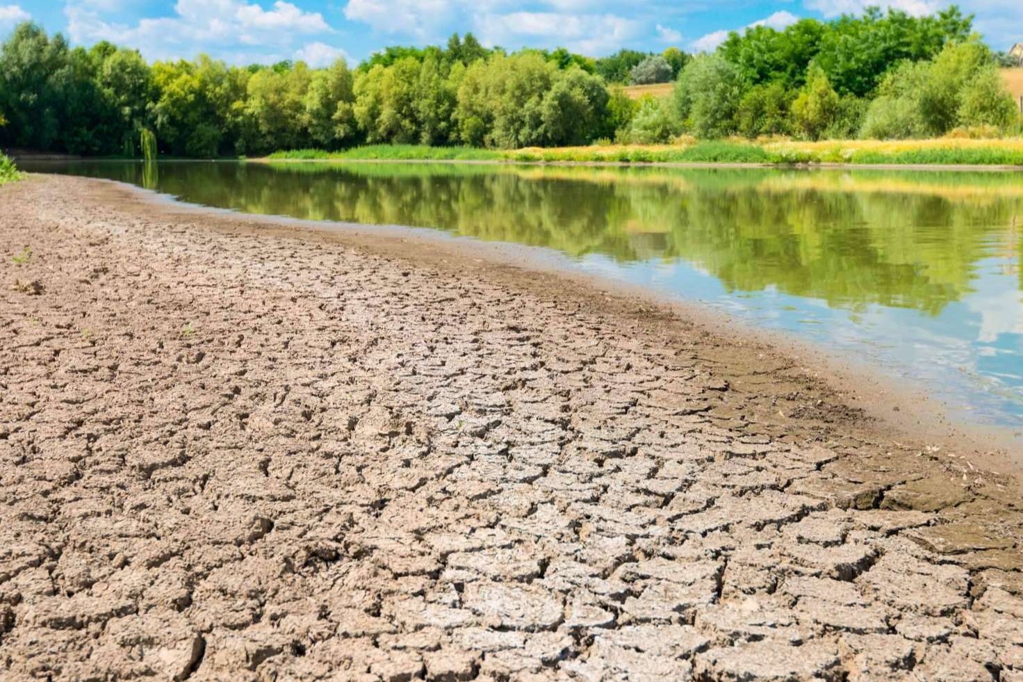 Soluciones sostenibles en el ámbito de la gestión del agua, con Pluvial