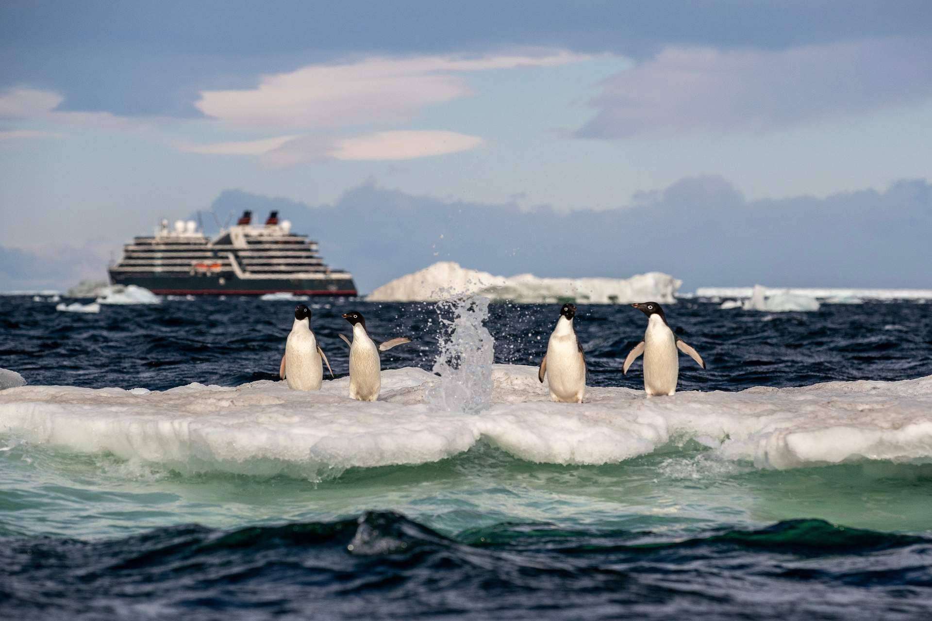 Vivir una experiencia singular a bordo de un crucero de lujo en la Antártida