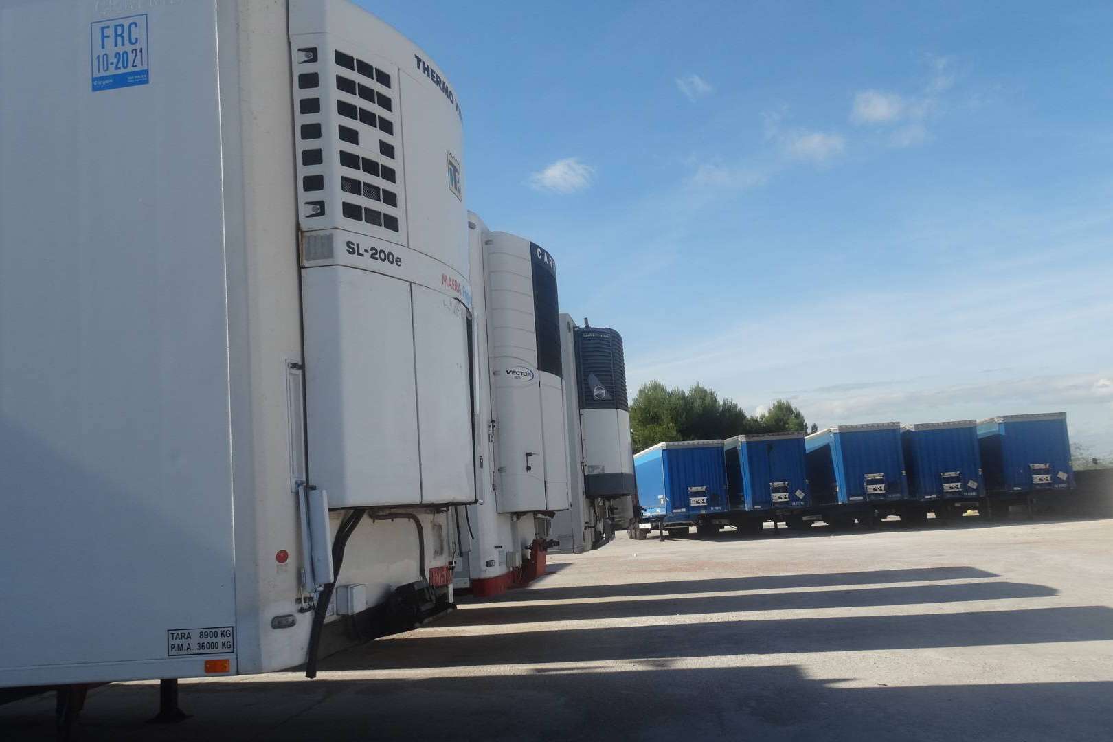 ¿Cuáles son las opciones de alguien que quiere dedicarse al transporte?, por Alicotrans
