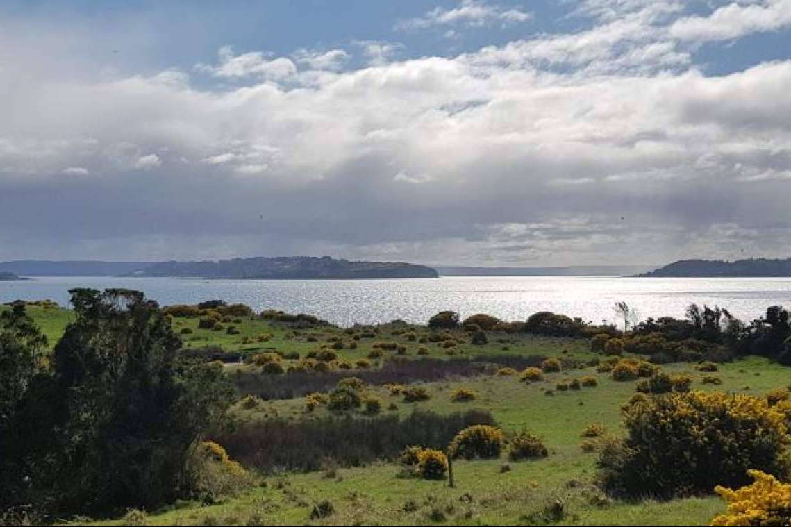 Innovación y naturaleza. Latitudes Australes está redefiniendo el mercado de parcelas en el sur de Chile