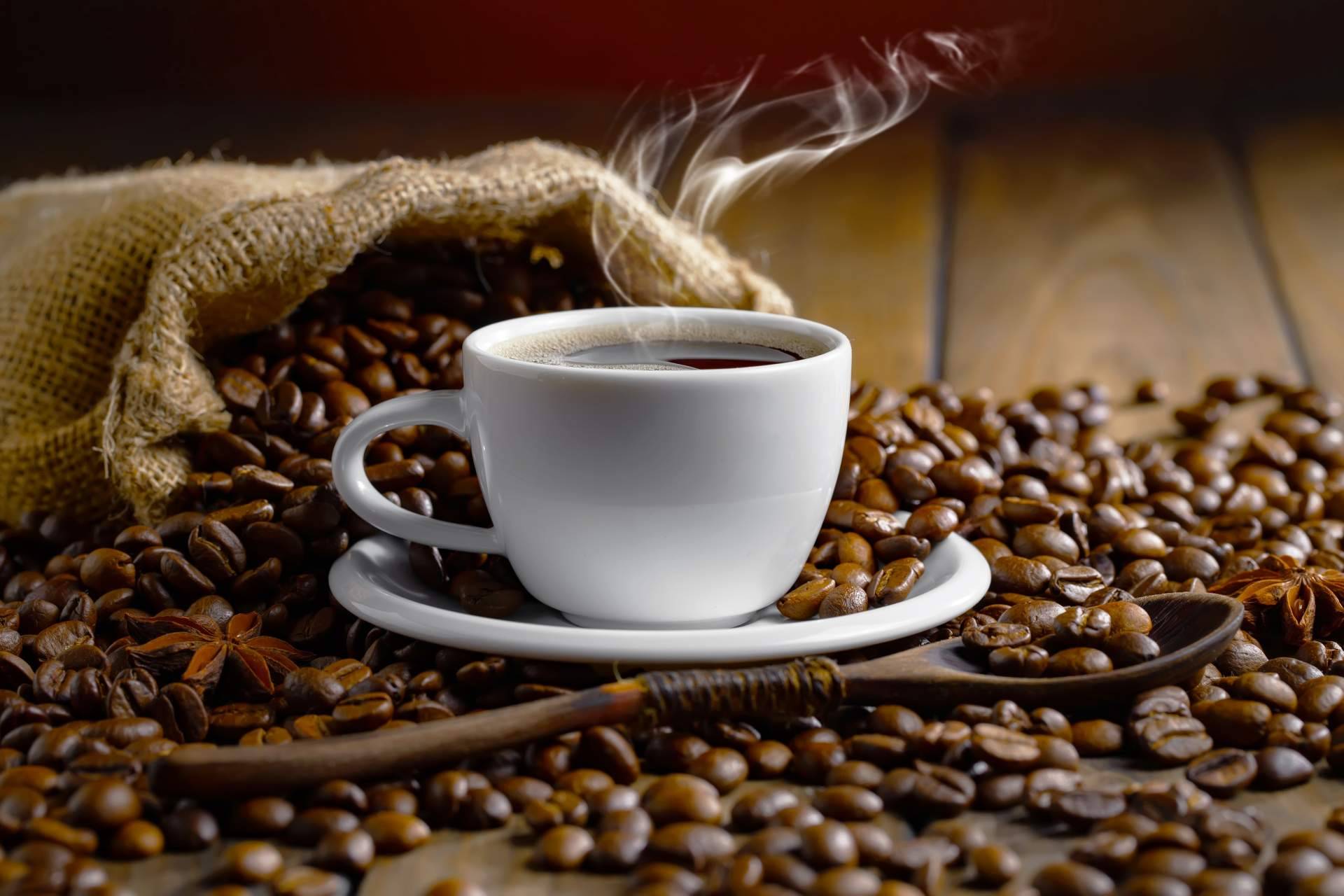¿Dónde encontrar café arábica de gran calidad? Cafés Foronda