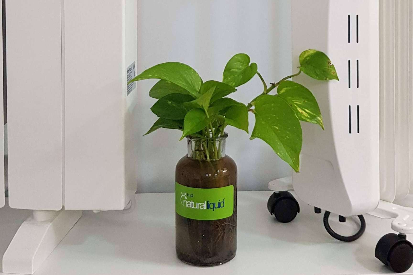 La empresa Bastilipo protege los recursos hídricos con la gama Ecofluid