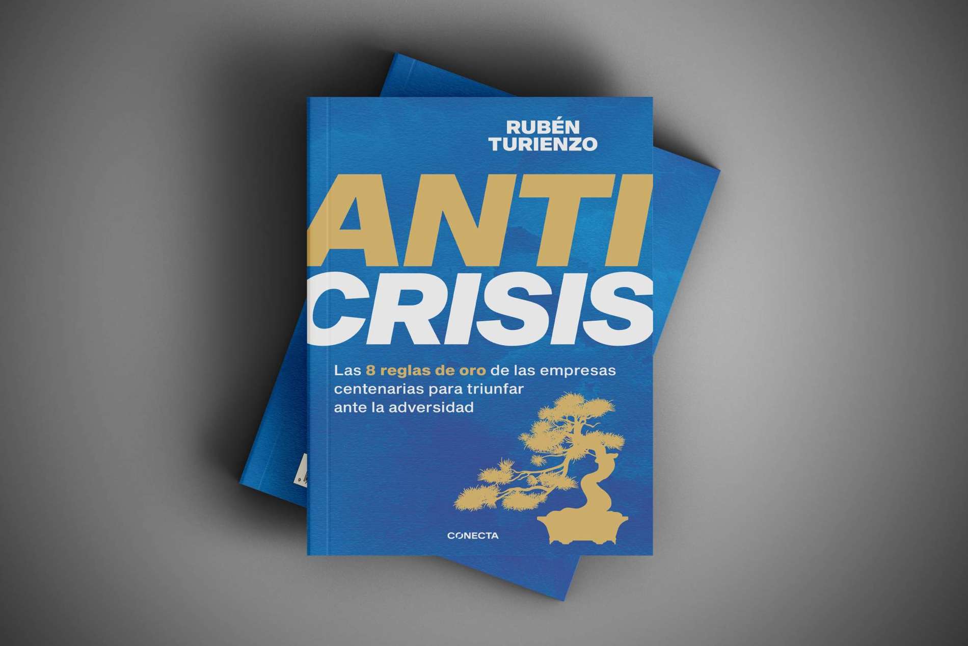 'Anticrisis', la obra que revoluciona la mirada empresarial con una investigación de las empresas más longevas del mundo