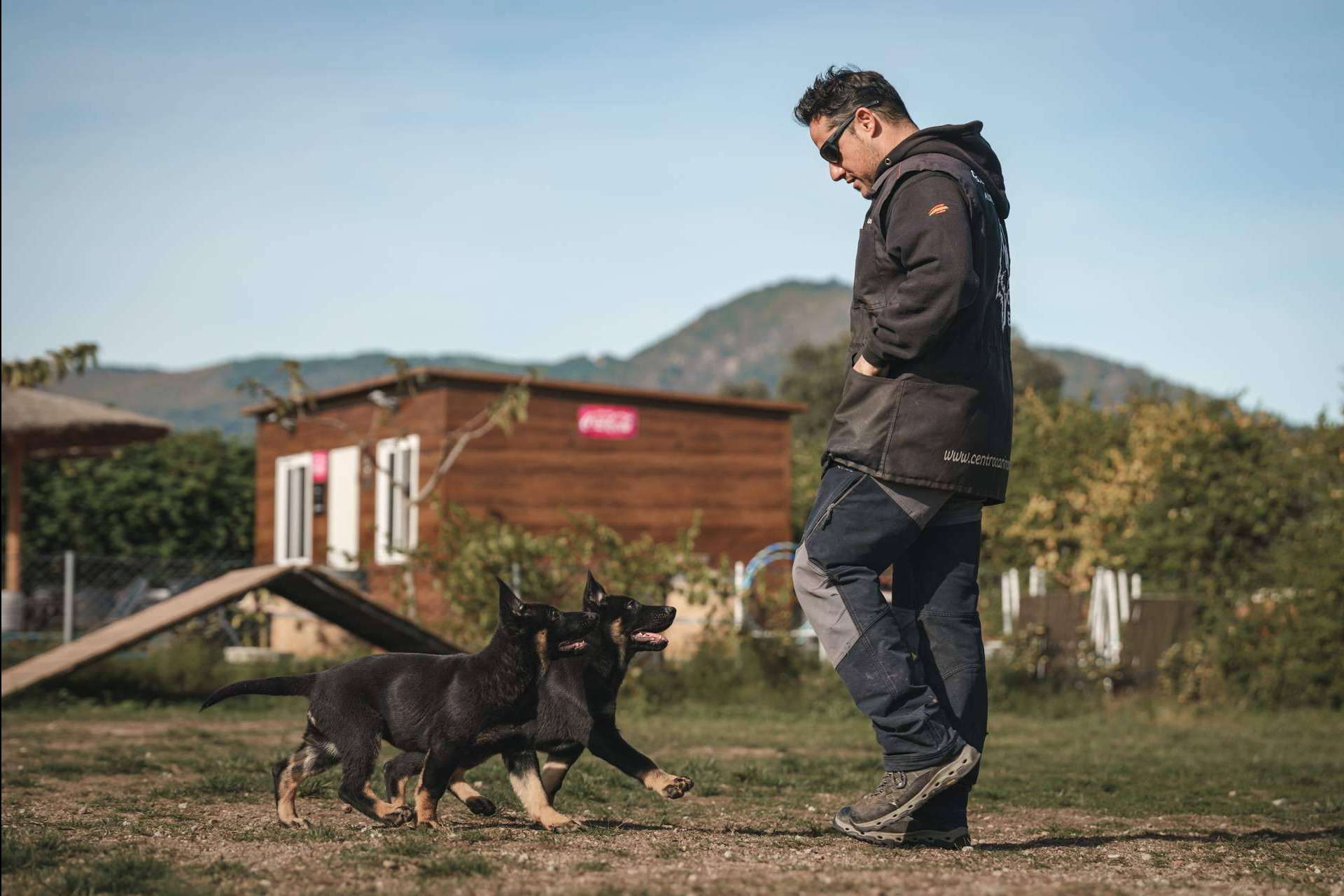 Curso de adiestramiento canino, de la mano de Monte Ida