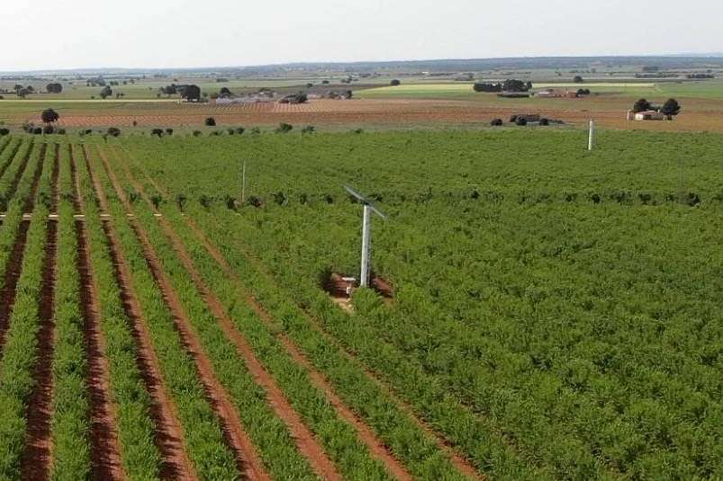 Una de las mejores soluciones para combatir las heladas la tiene una empresa española