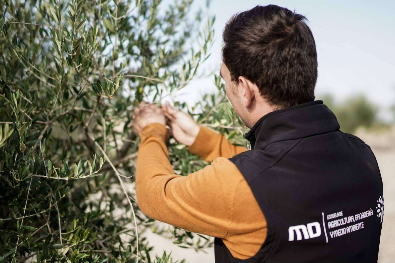 Ser agricultor con la formación completa de MasterD