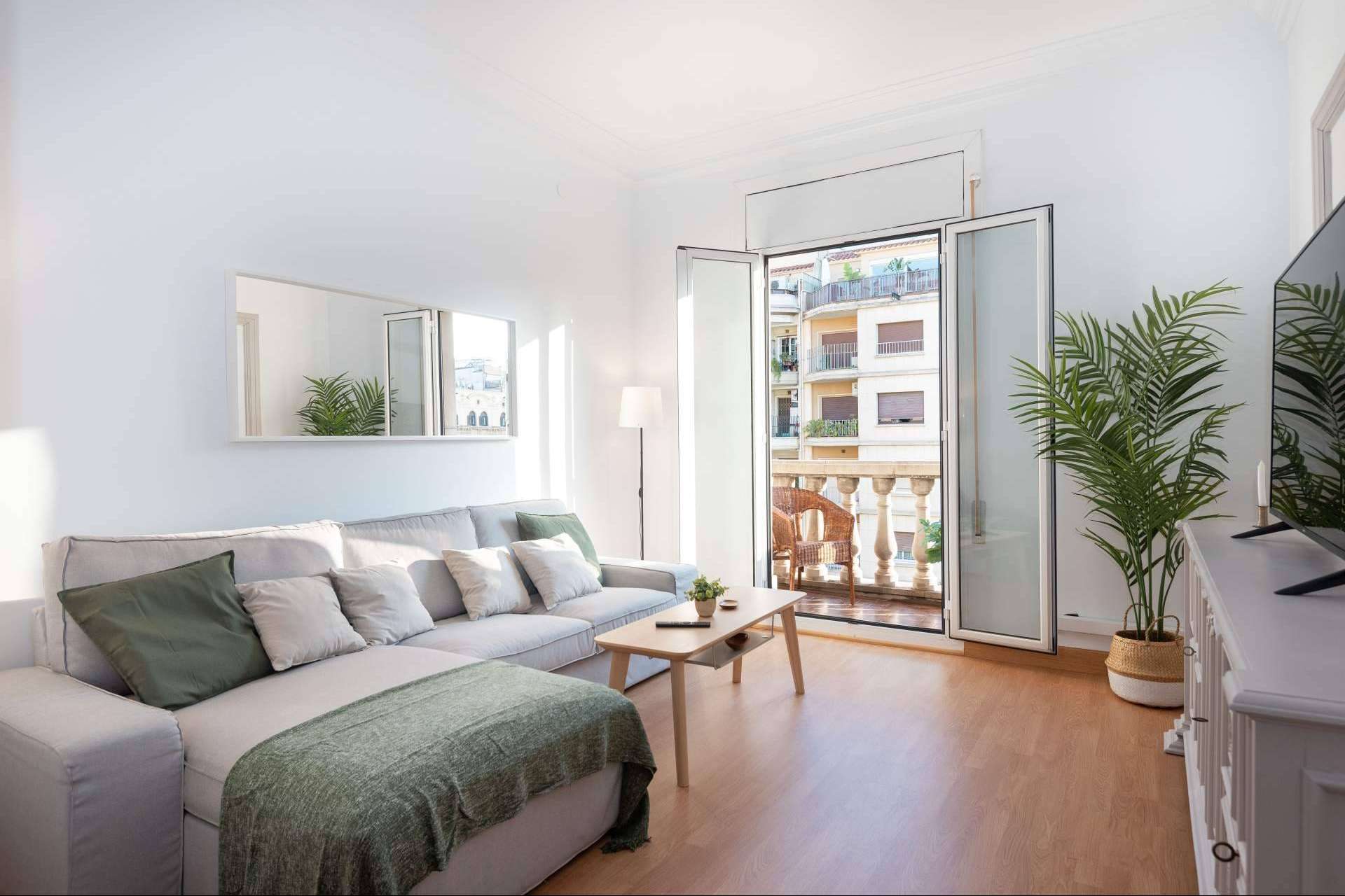 La página web actualizada de Haaus Coliving con un innovador sistema de verificación y autofiltraje de usuarios