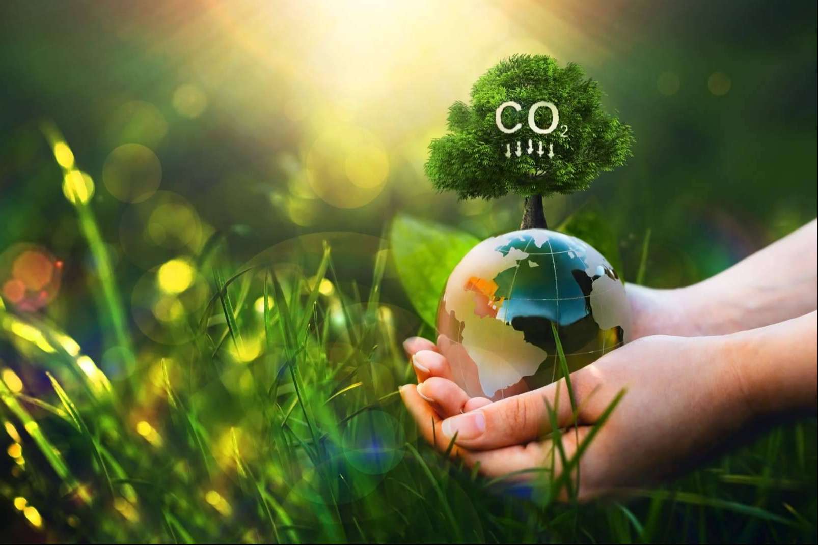 Consultoría estratégica para reducir la huella de carbono en las empresas, con Ingade
