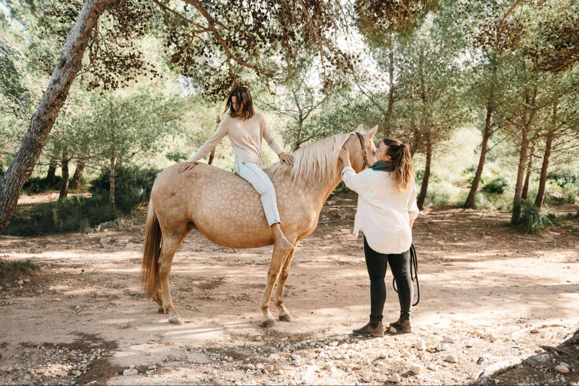 Son Cavalls ofrece coaching asistido de caballos para personas individuales