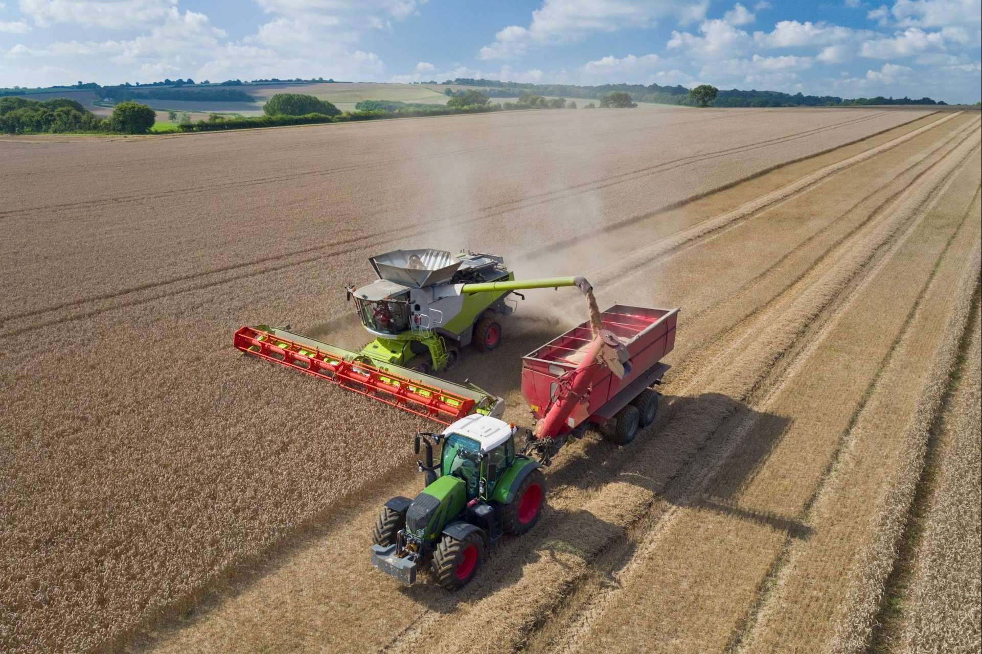Expertos gestionan la obtención del Certificado GlobalG.A.P., una calificación que prueba buenas prácticas agrícolas