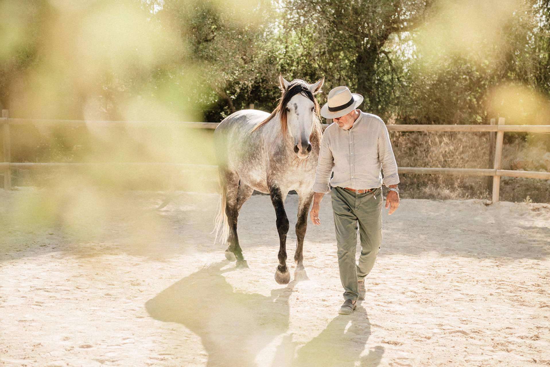 Recuperar la autenticidad por medio del coaching individual asistido por caballos con Son Cavalls