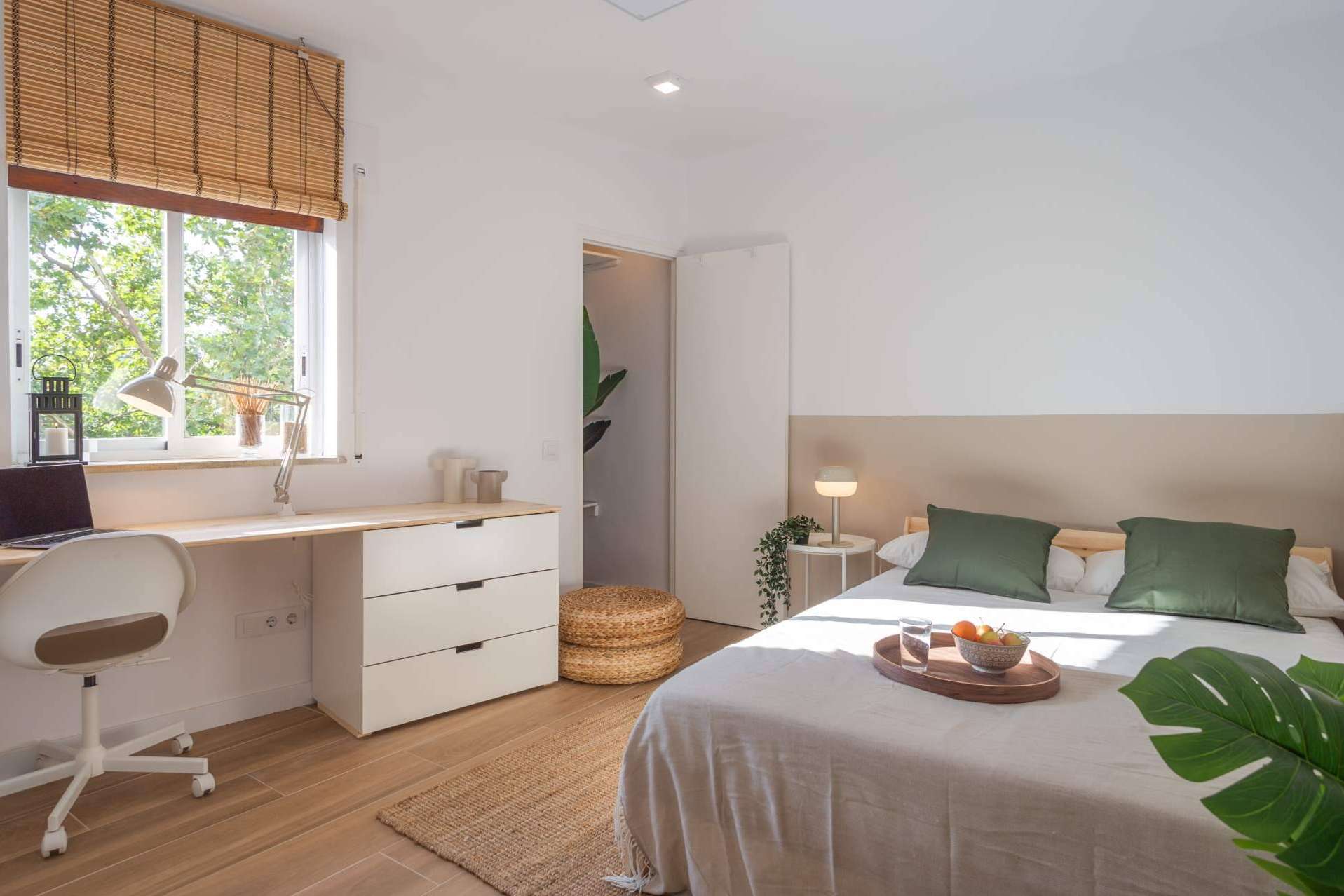 Haaus Coliving, una de las startups de coliving de referencia en España
