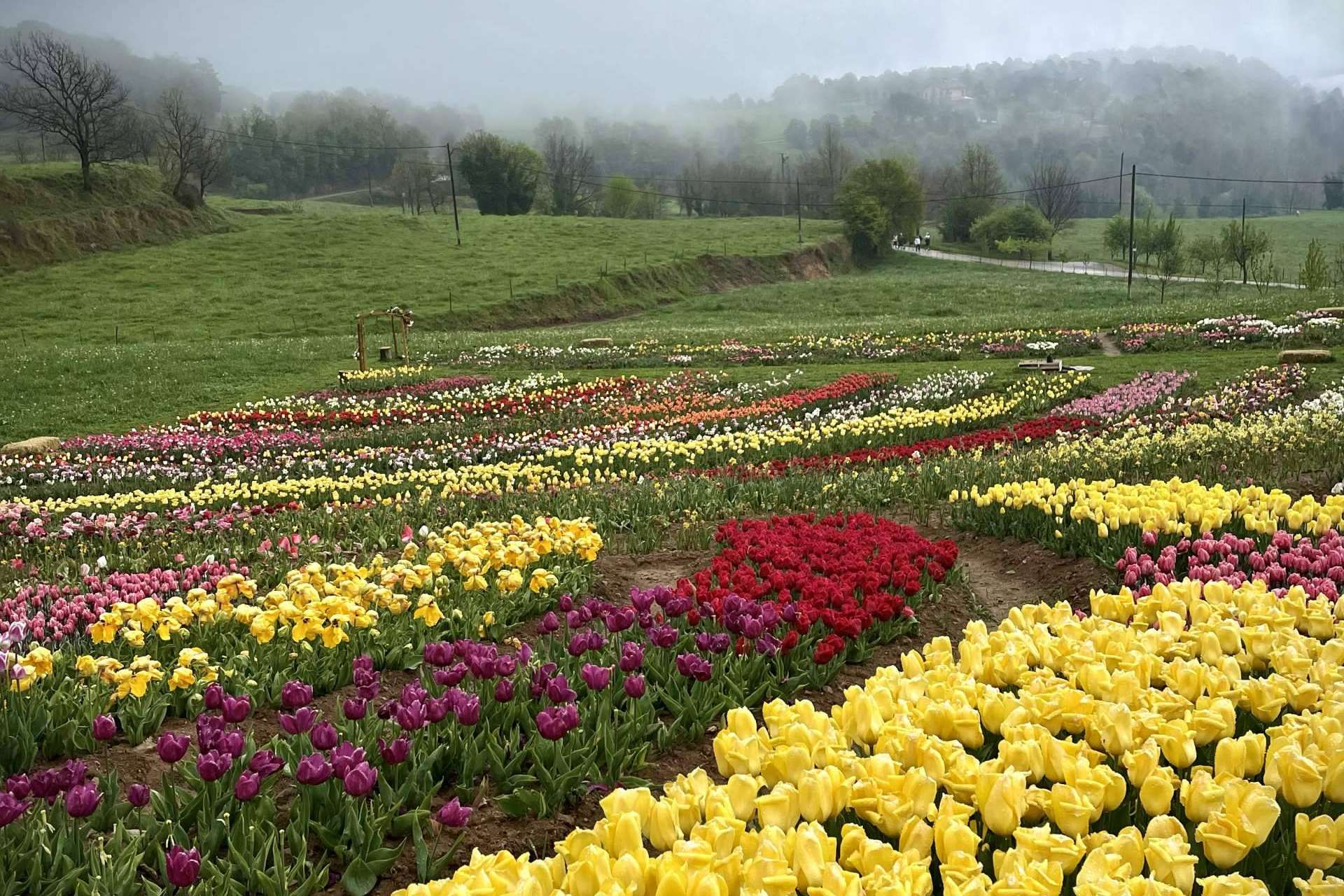 Un refugio para los amantes de la naturaleza y las flores es Niudàlia