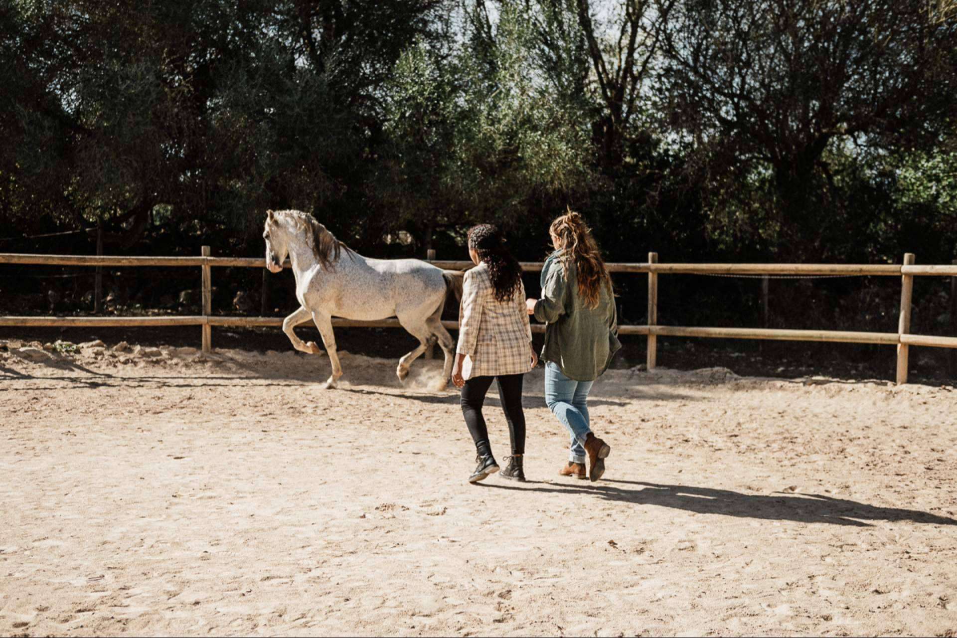 Coaching asistido con caballos de la mano de Son Cavalls